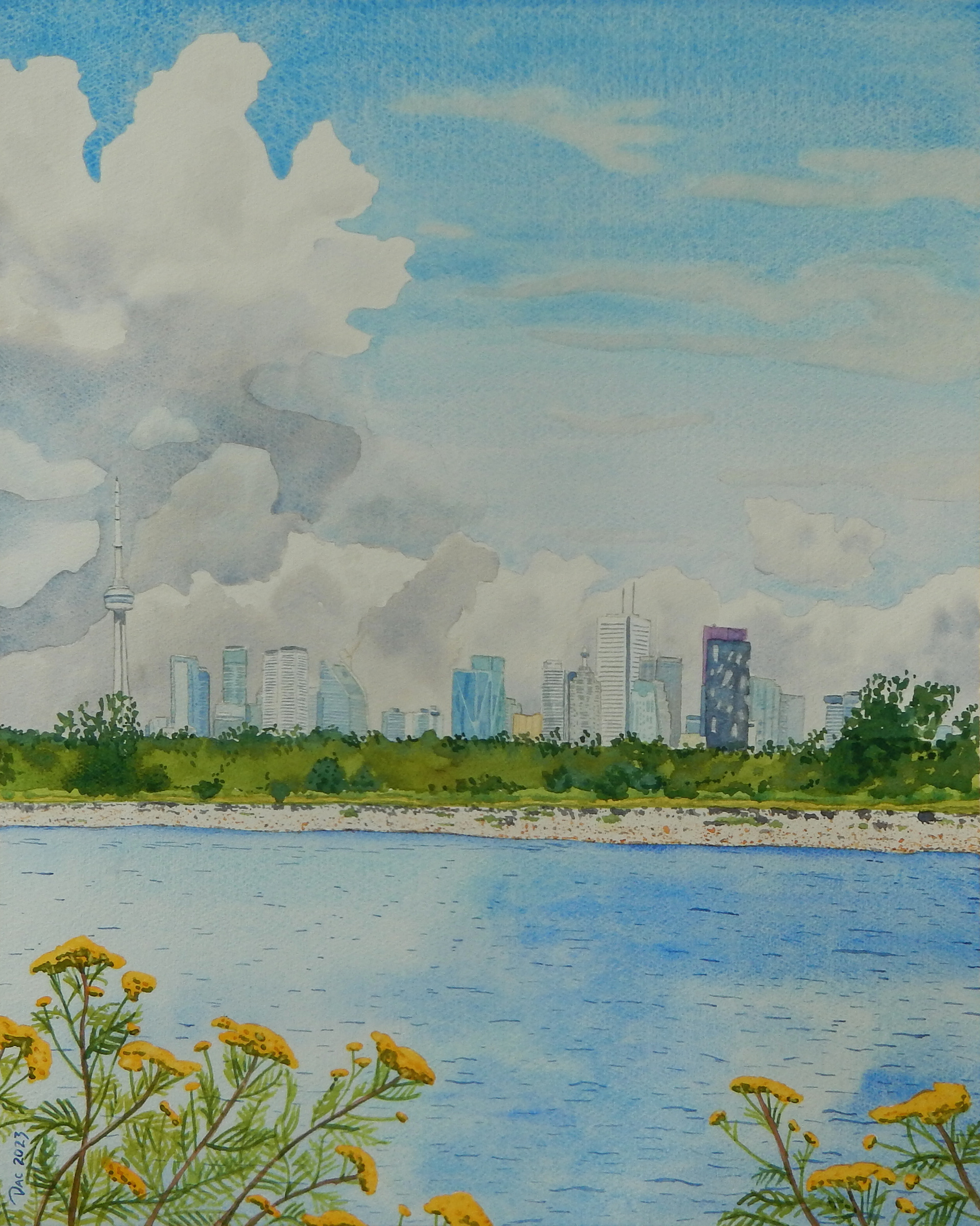 Leslie Street Spit, July