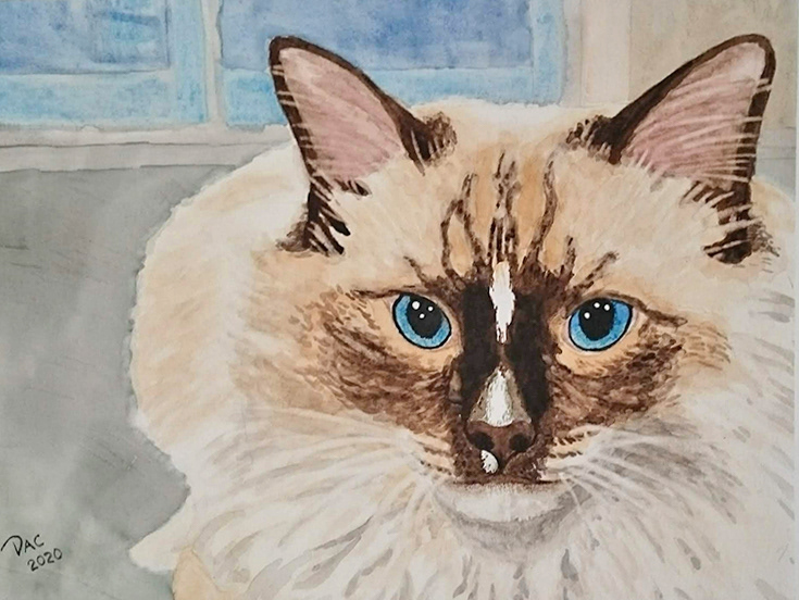 Fergus, watercolour, 9x12"