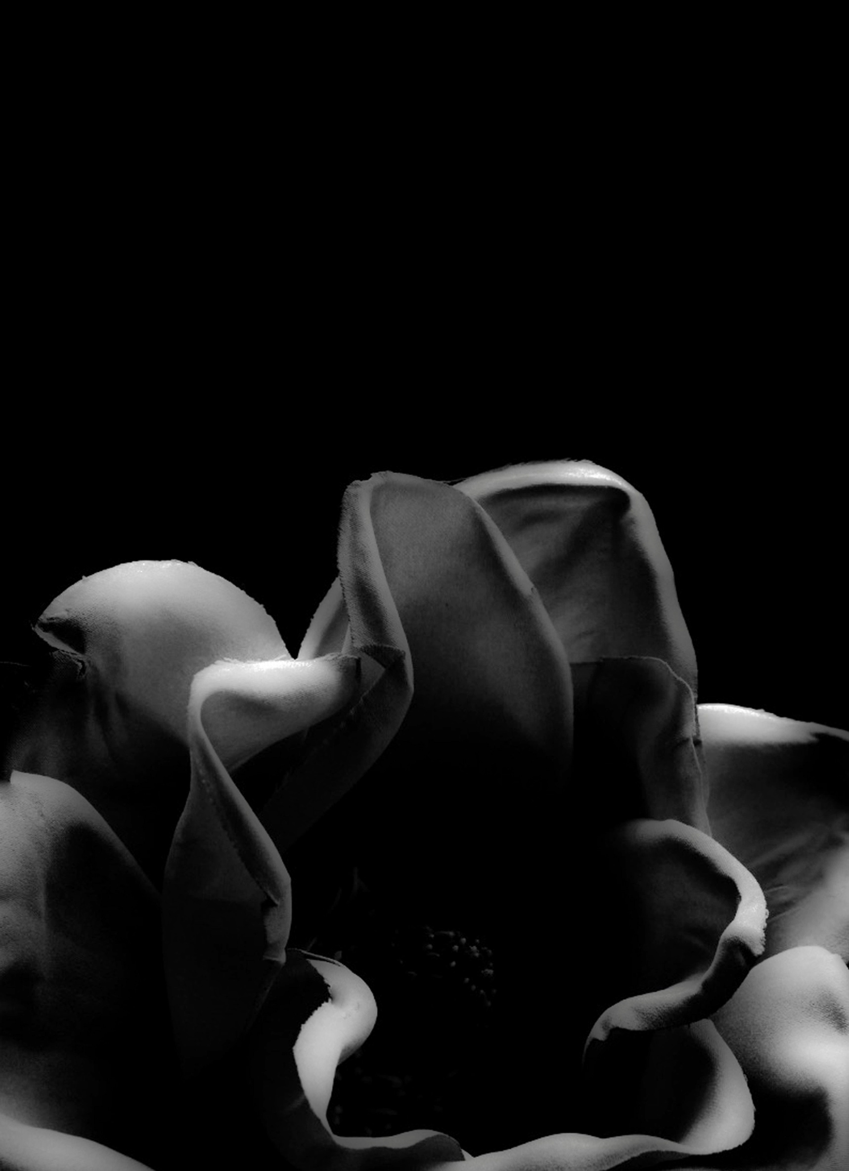 into the Depth, 2019