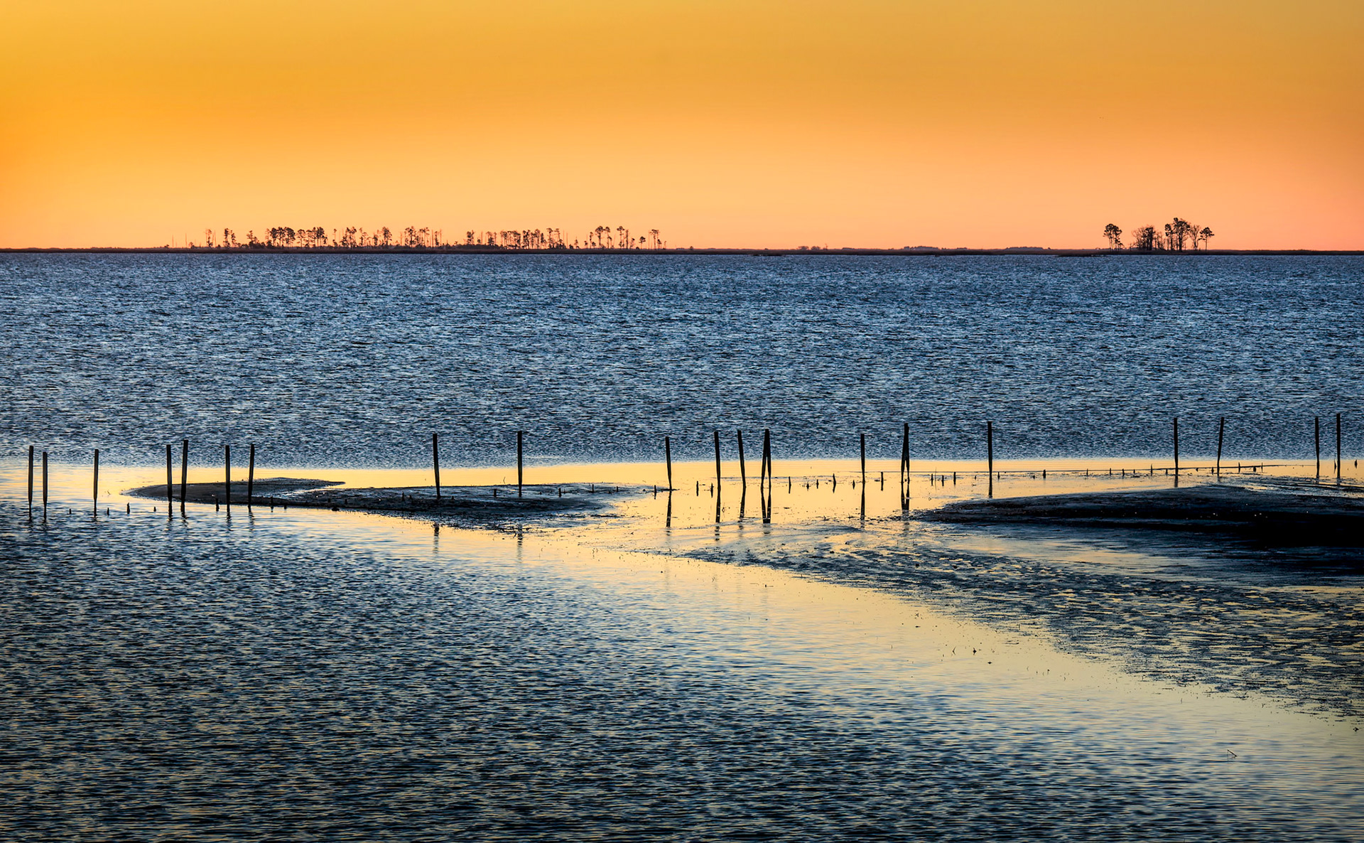 Blackwater Scenery 5