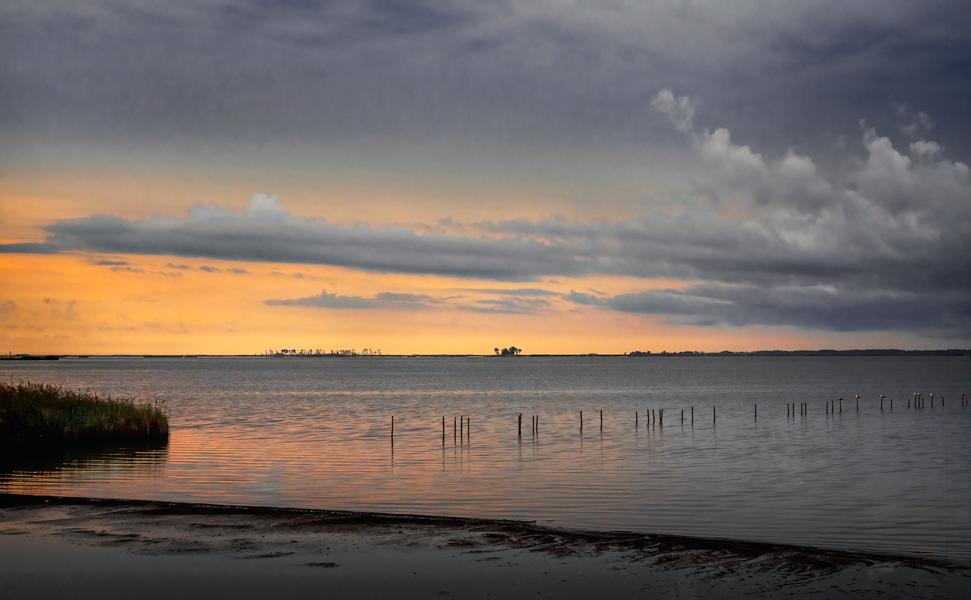 Blackwater Scenery 13