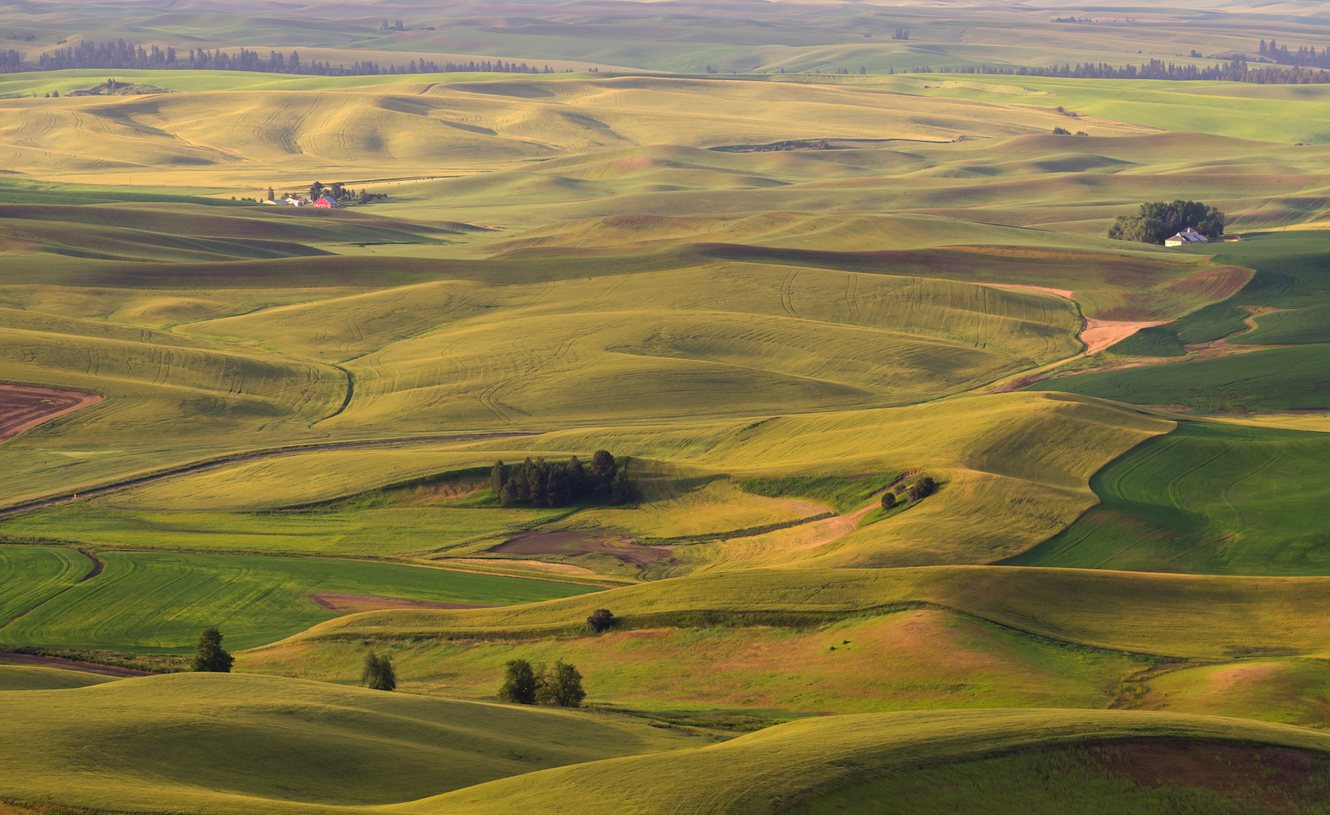 The Palouse - WA