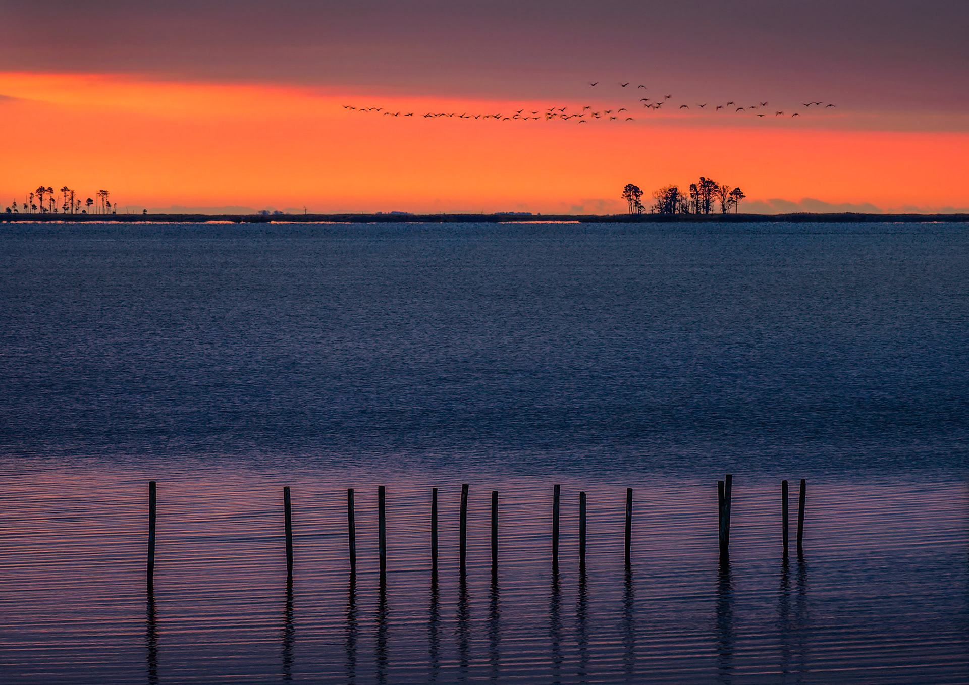 Blackwater Scenery 3