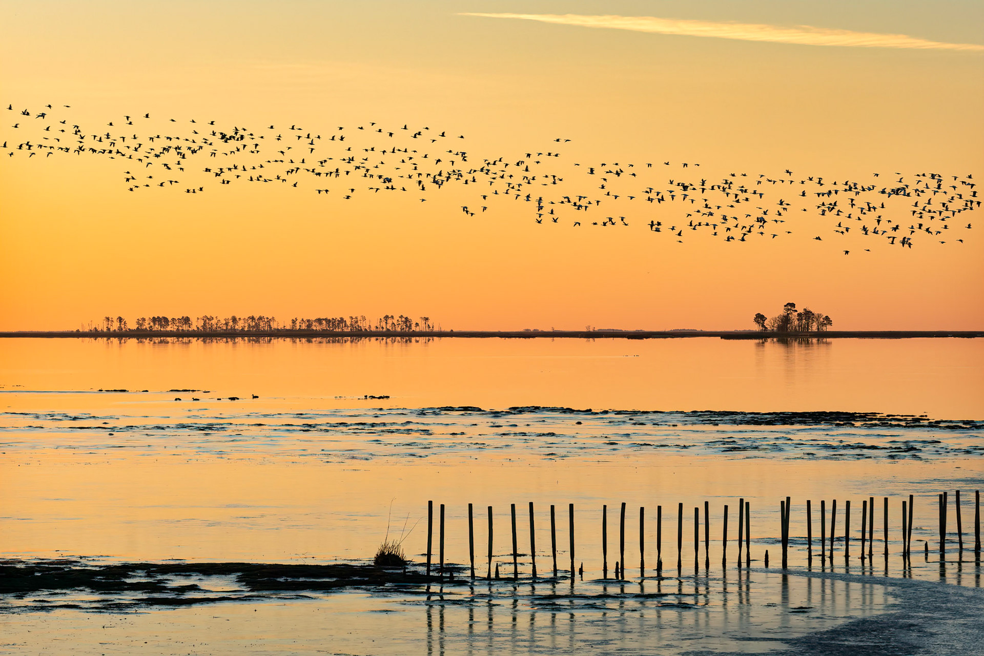 Blackwater Scenery 1