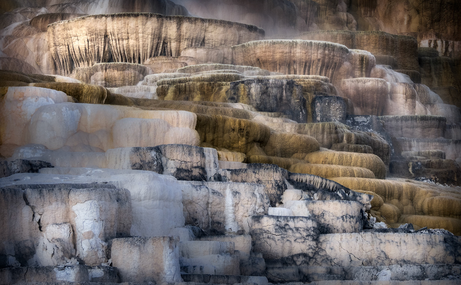 Mammoth Springs 9
