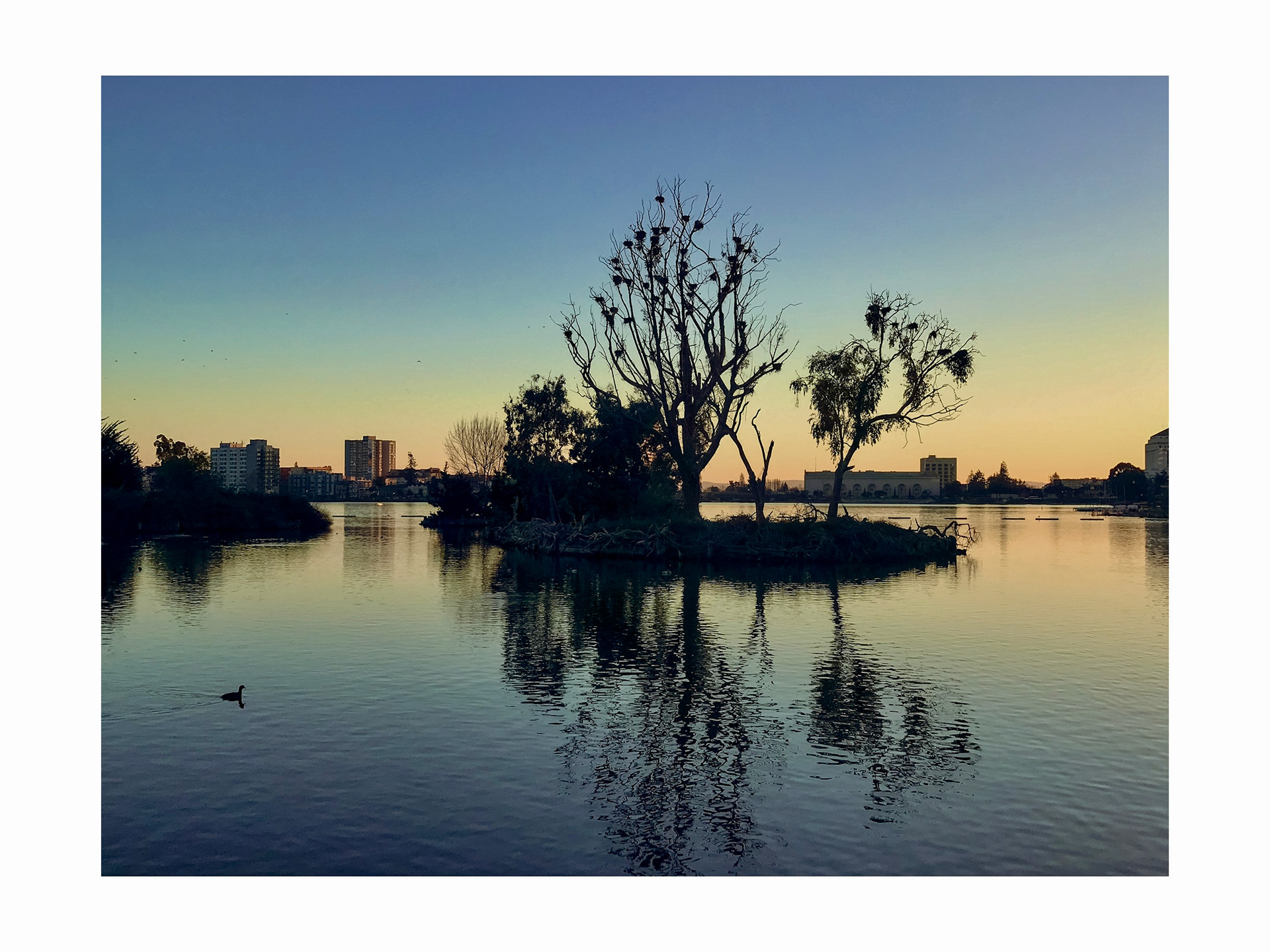 Jack London Square