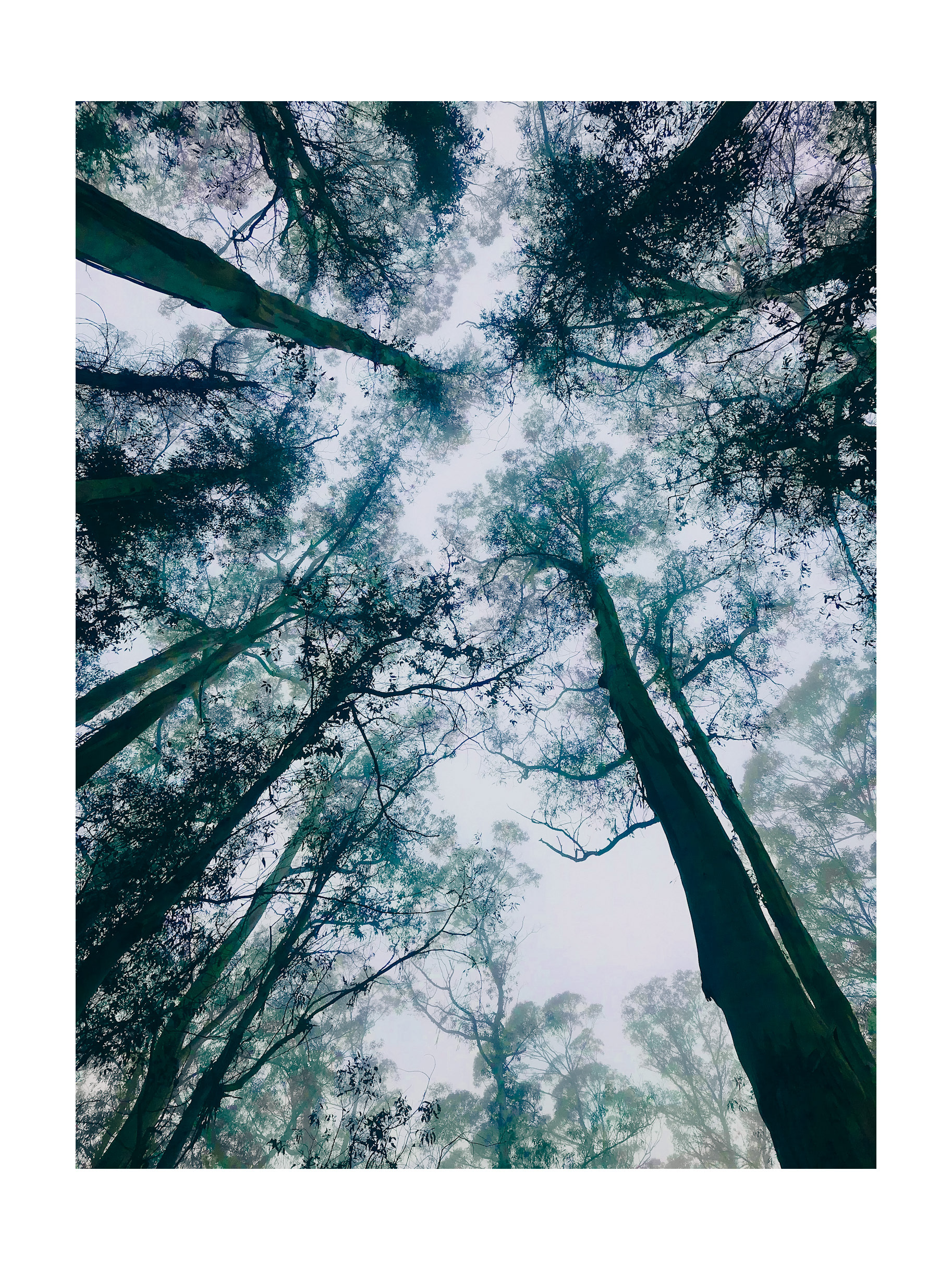 The Presidio, San Francisco