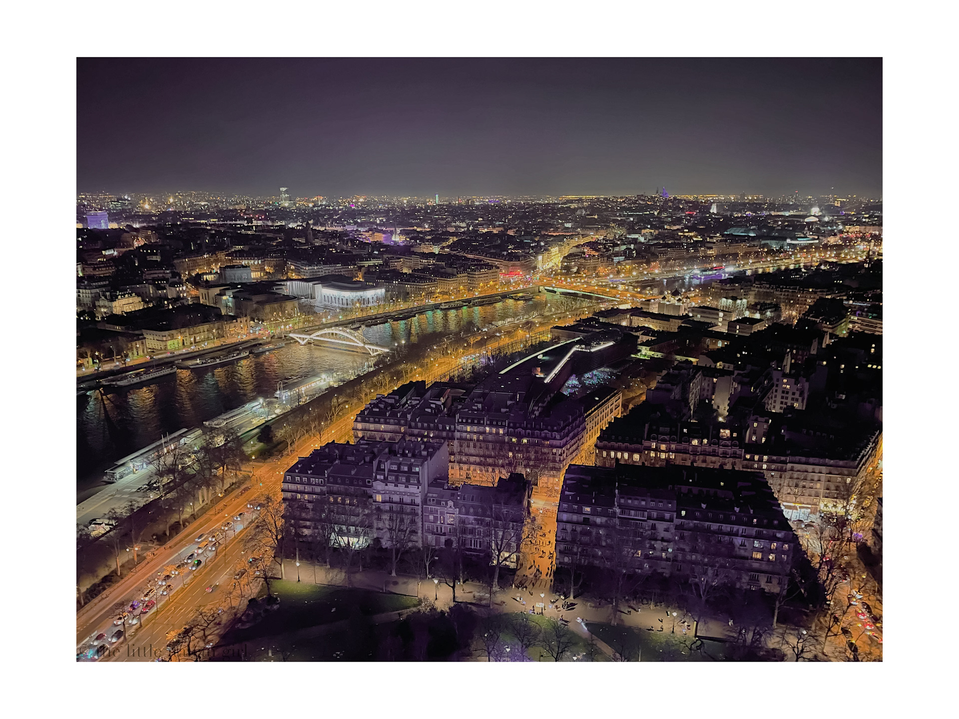 View from Eiffel Tower