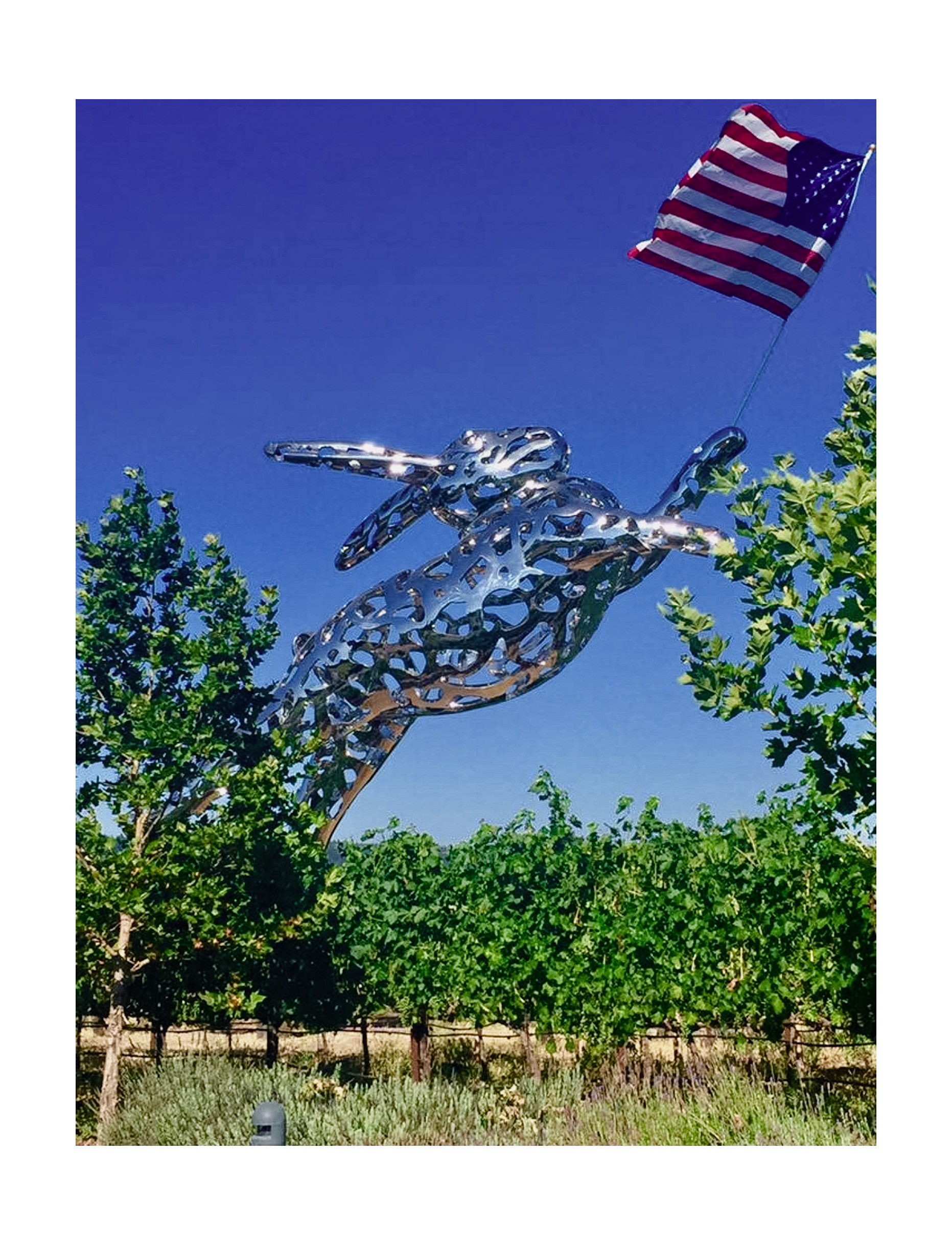 Hall Winery, St. Helena