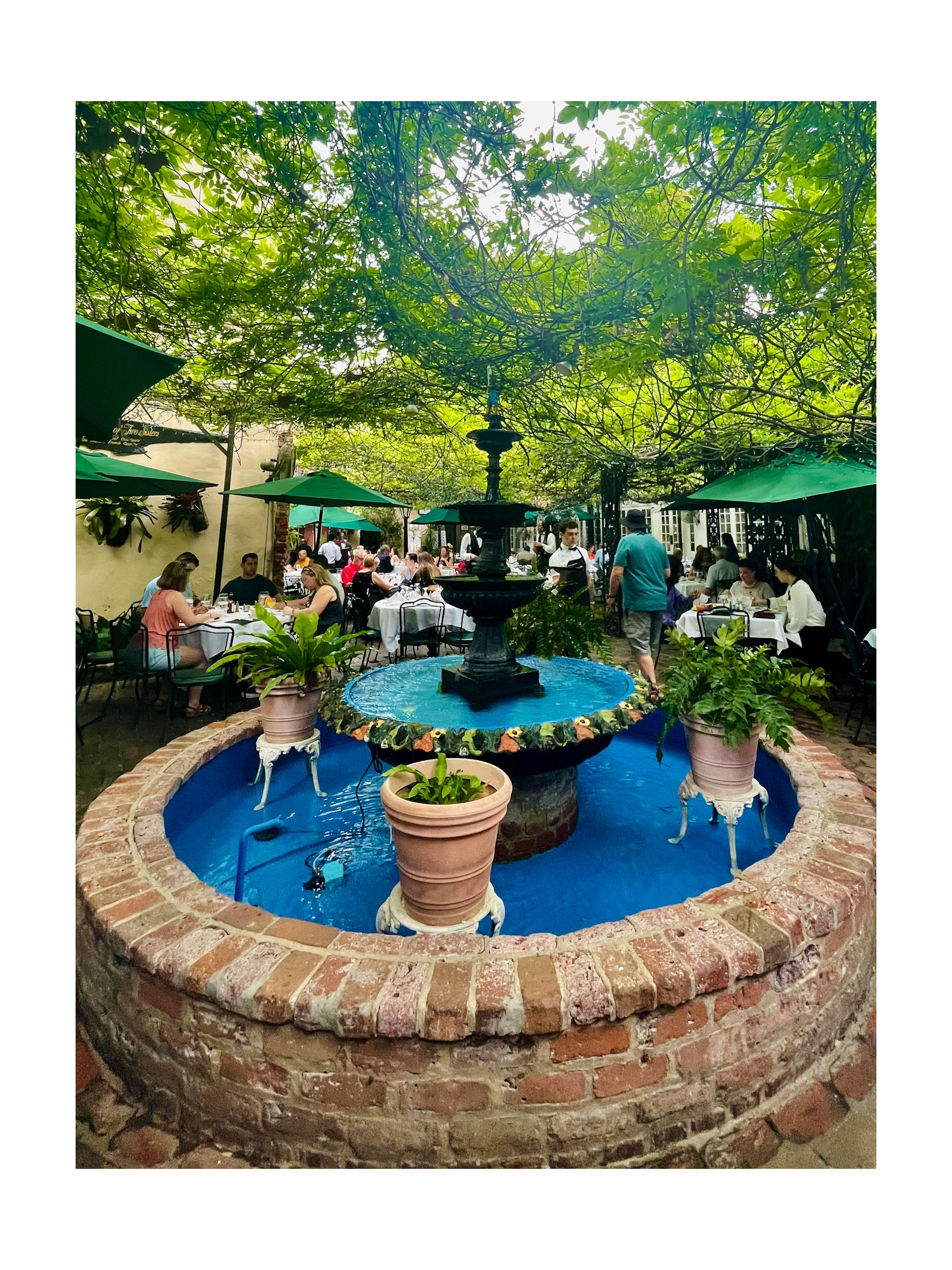 The Devil's Well, The Court of Two Sisters