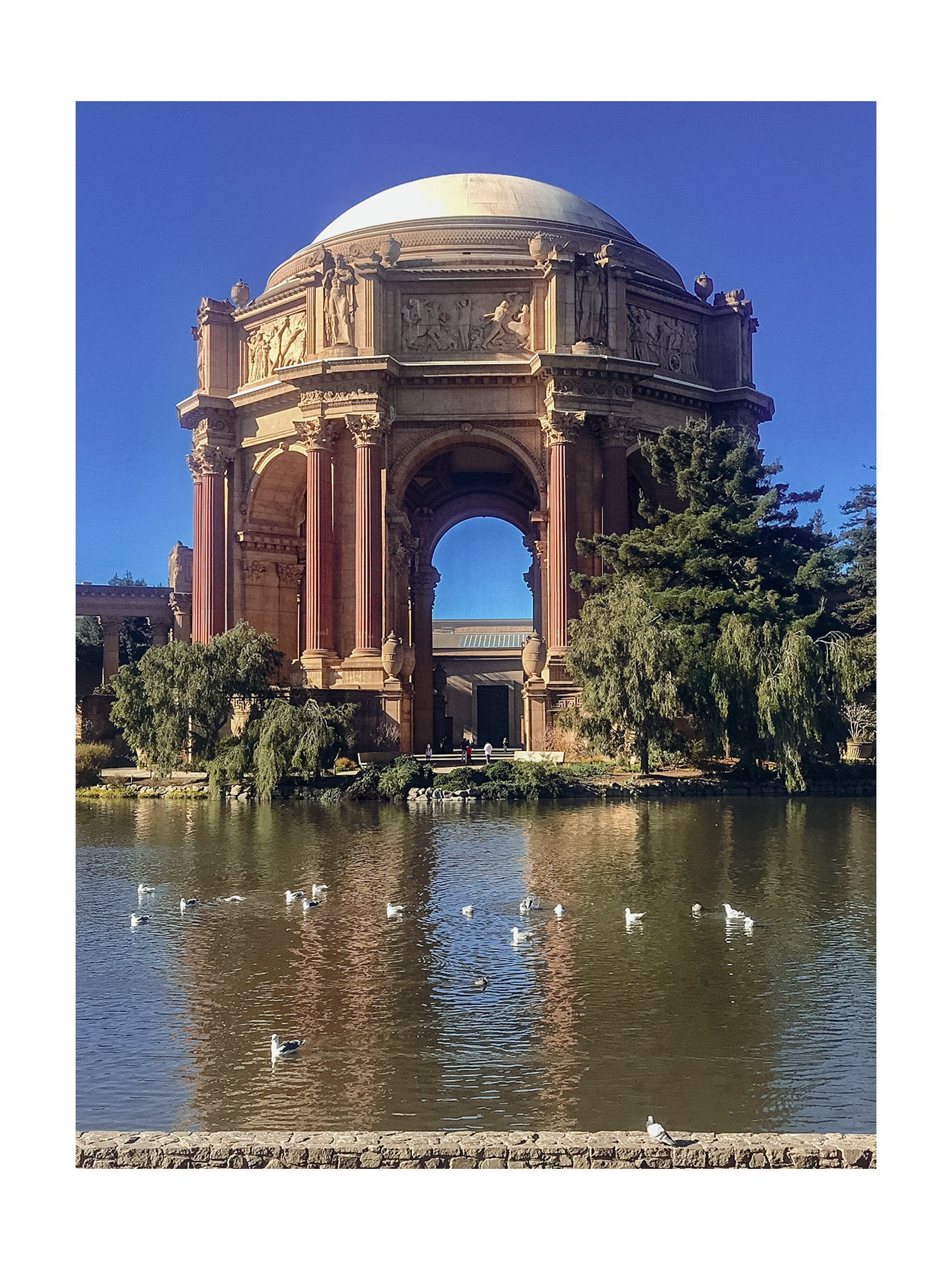 palace of fine arts