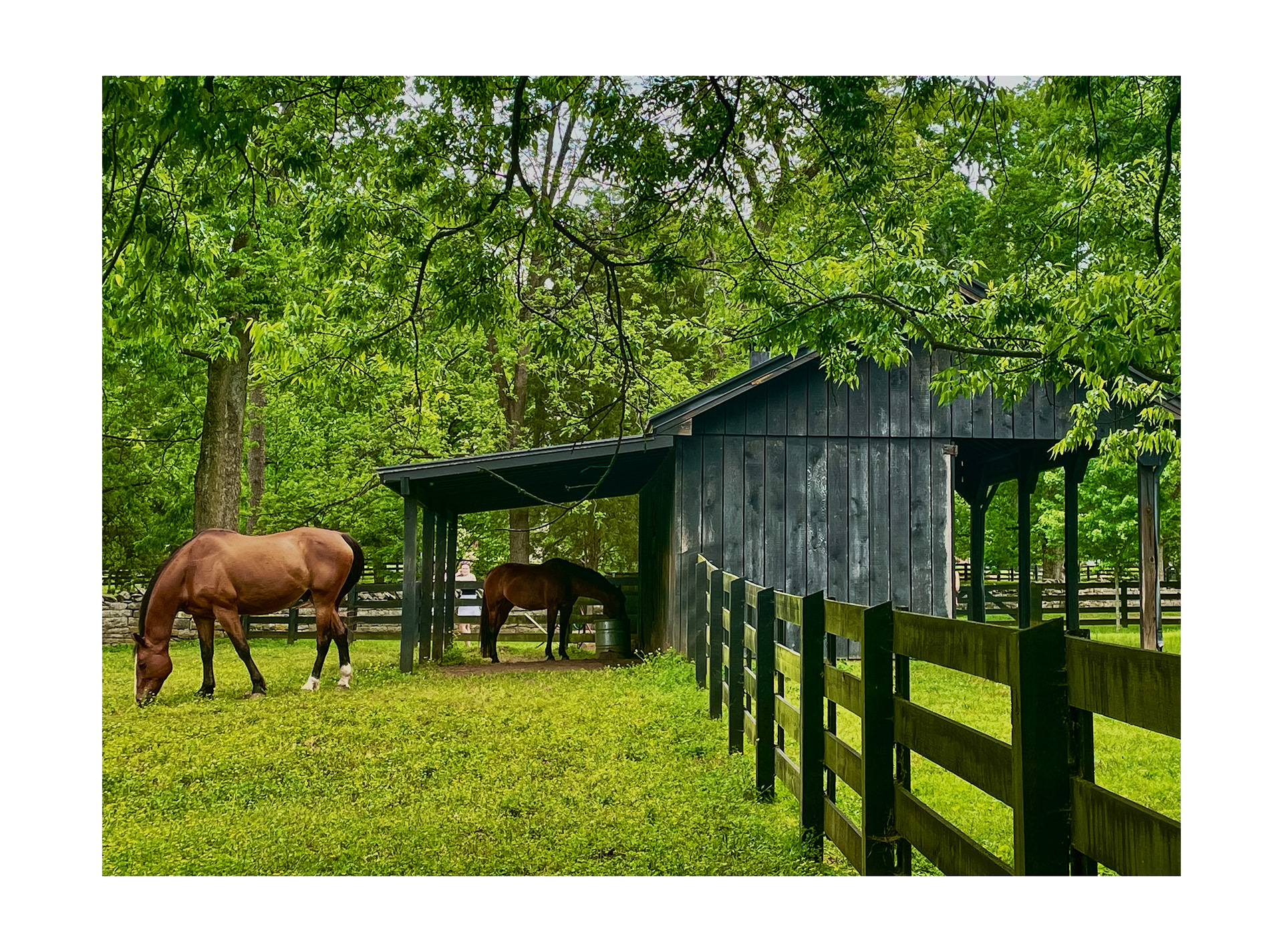 Belle Meade Plantation, Nashville 