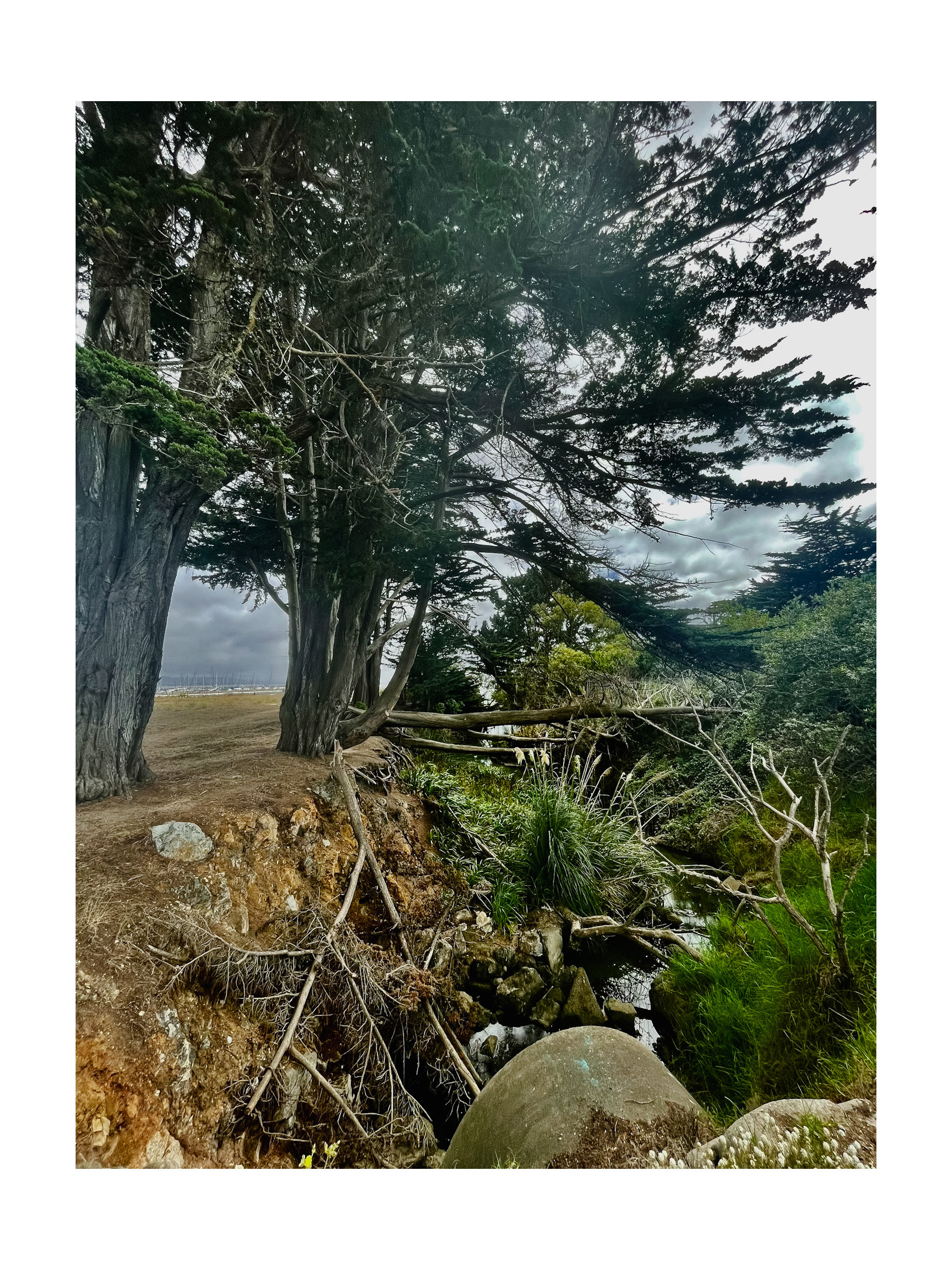 Maverick's Beach, Half Moon Bay 