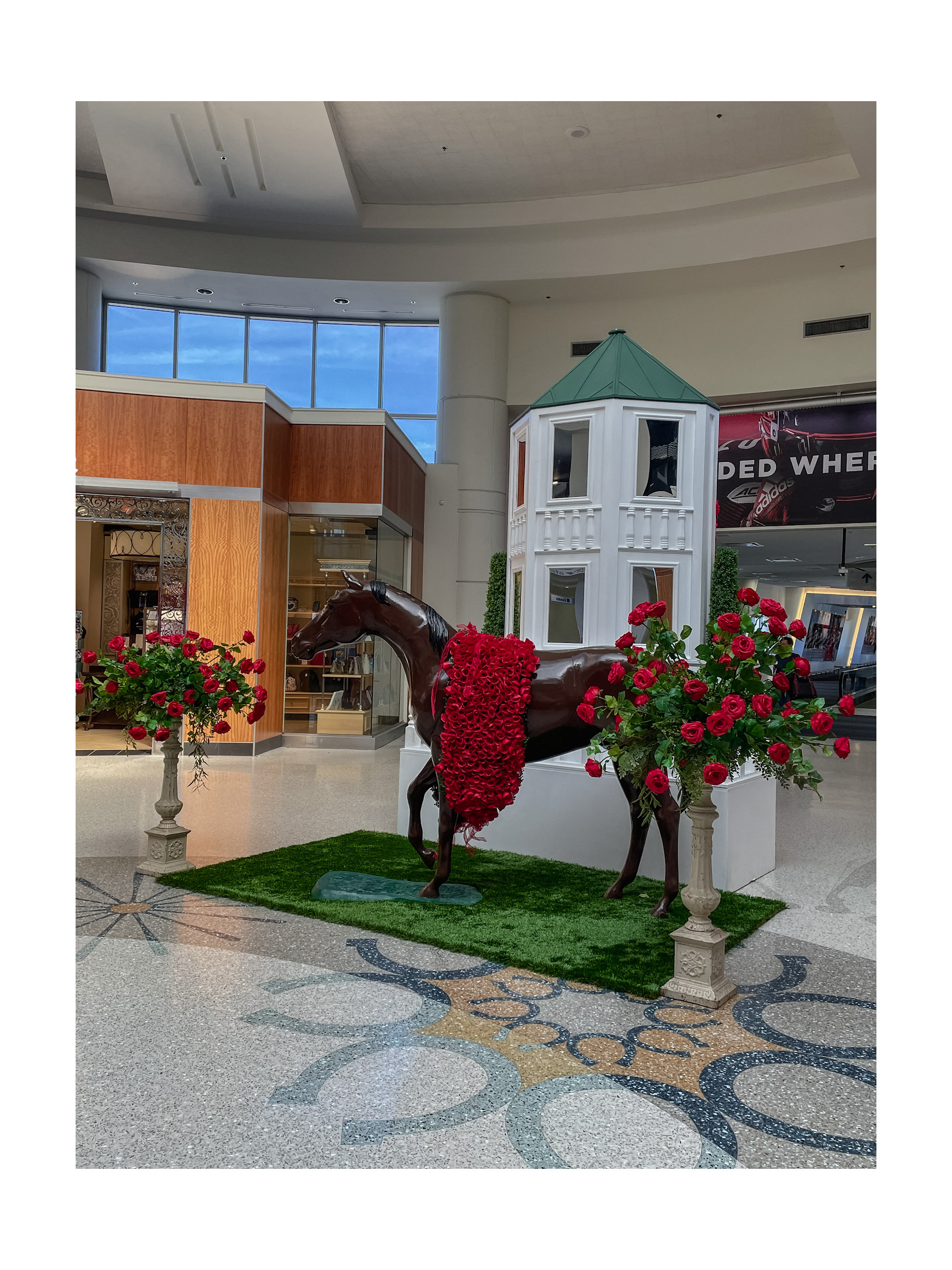 muhammad ali international airport 