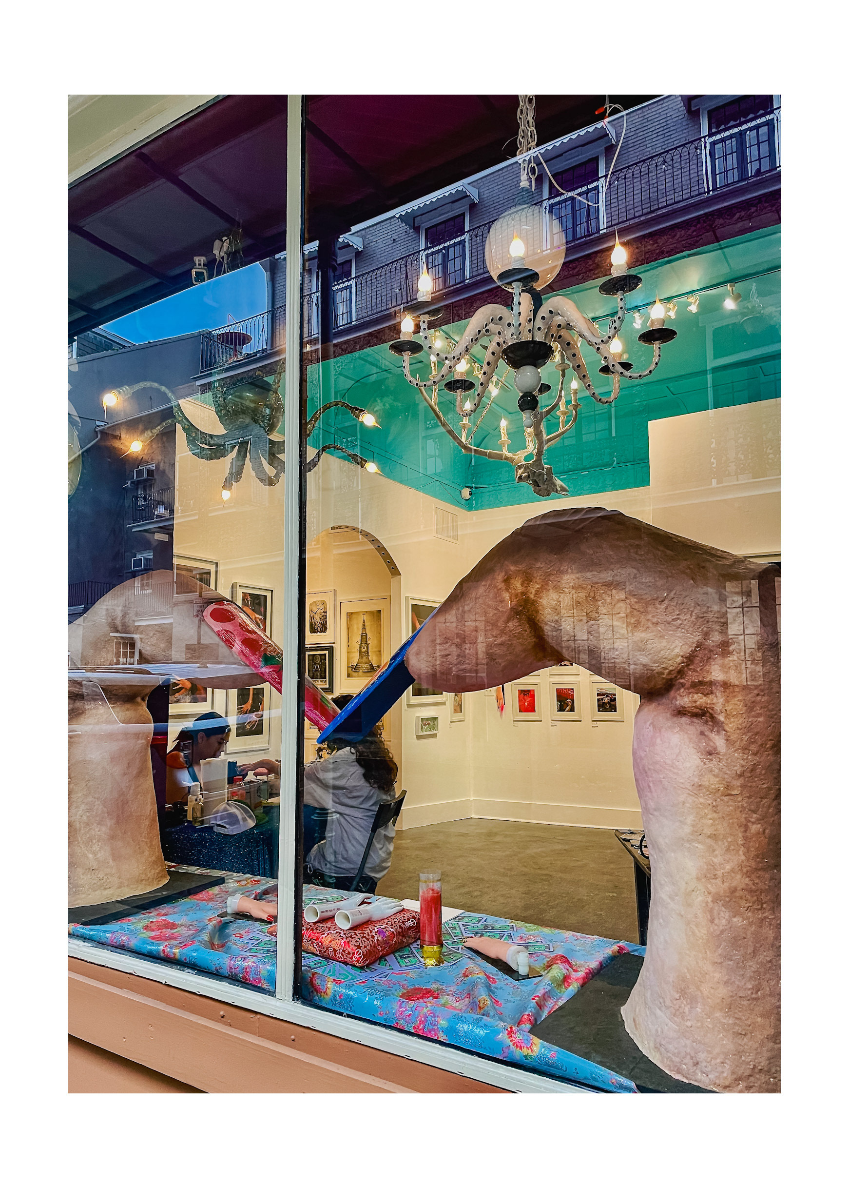 Morbid Gallery, St. Ann Street