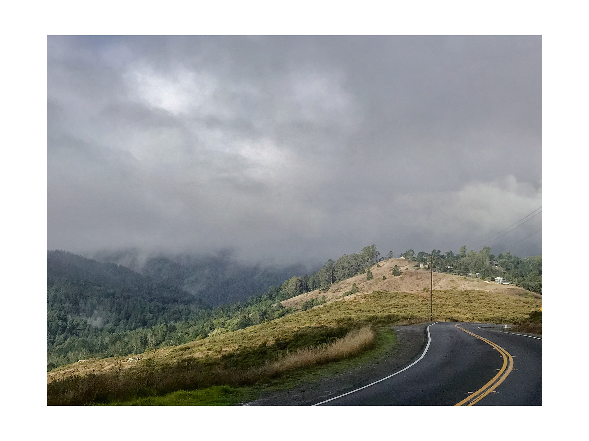 Mt. Tamalpais, Marin County 