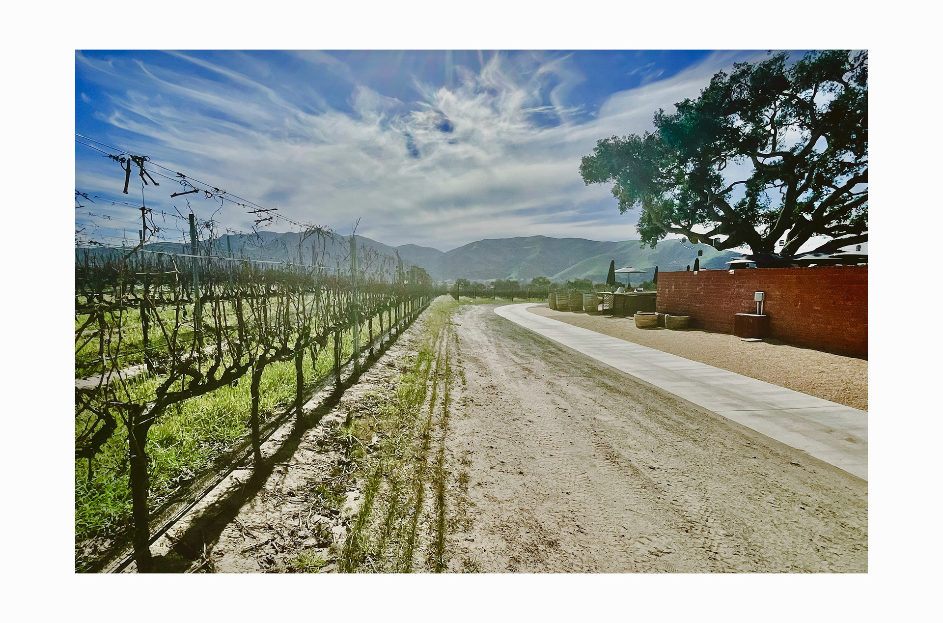 Brick Barn Wine Estate