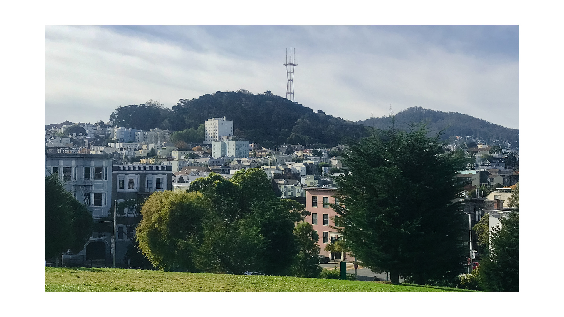 alamo square
