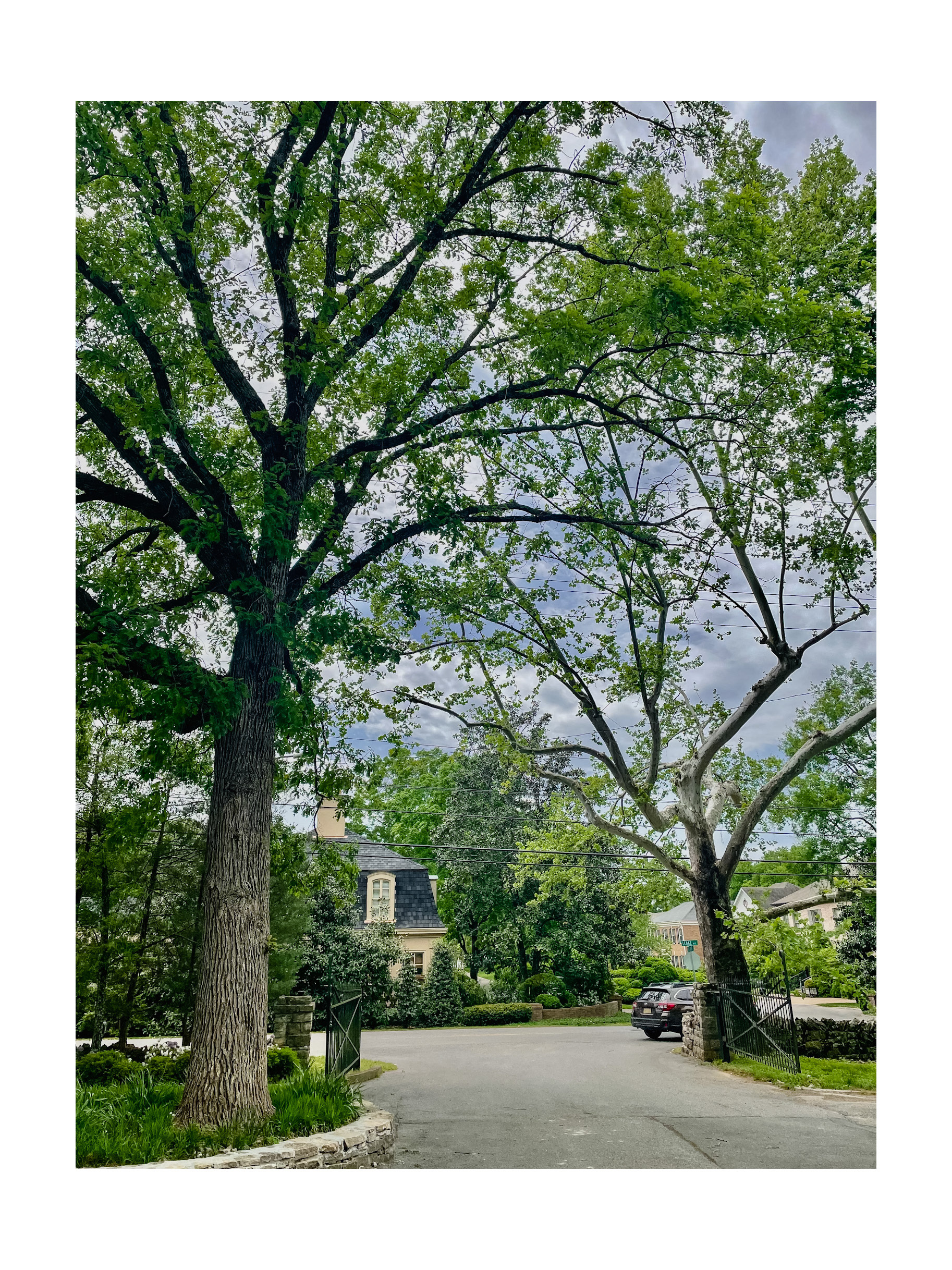 Belle Meade Plantation, Nashville 