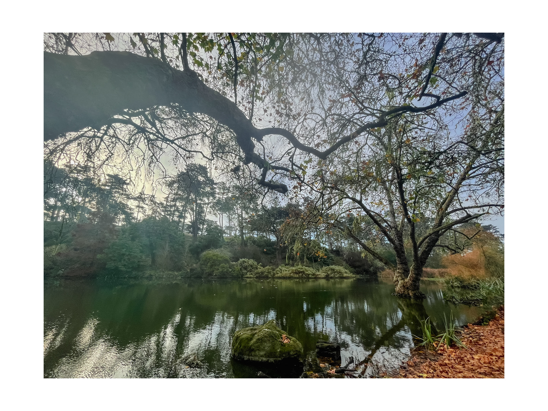Golden Gate Park, San Francisco