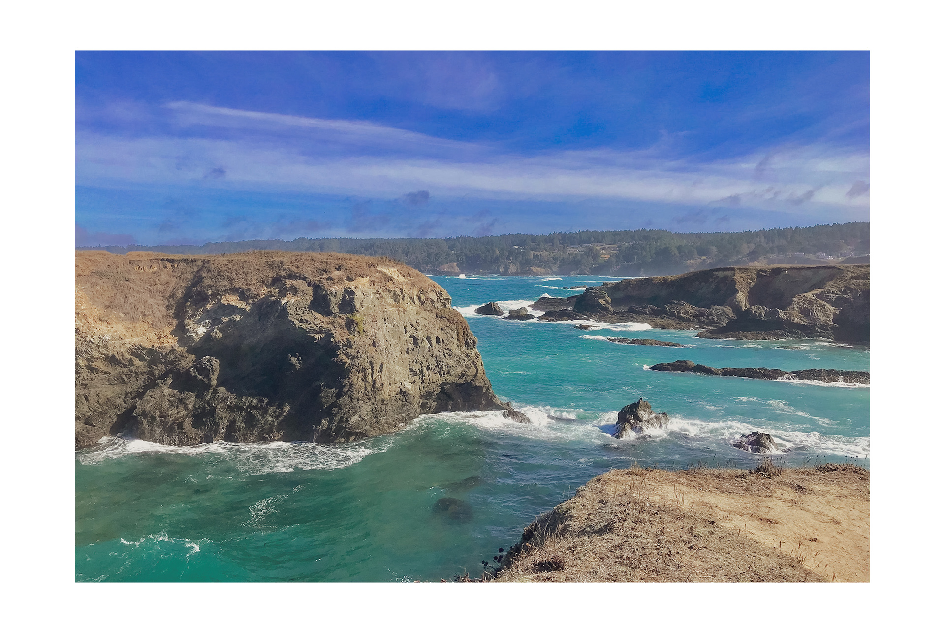 mendocino coast 