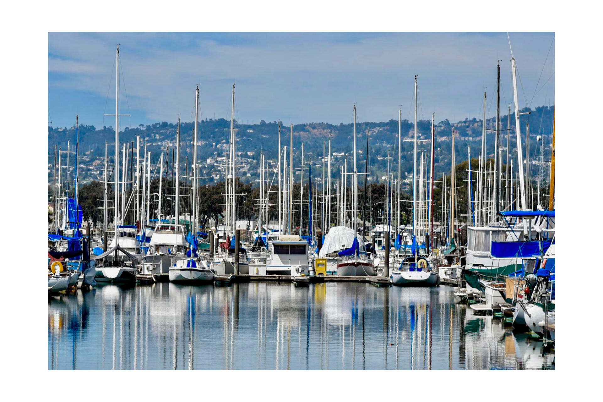 alameda yacht club 