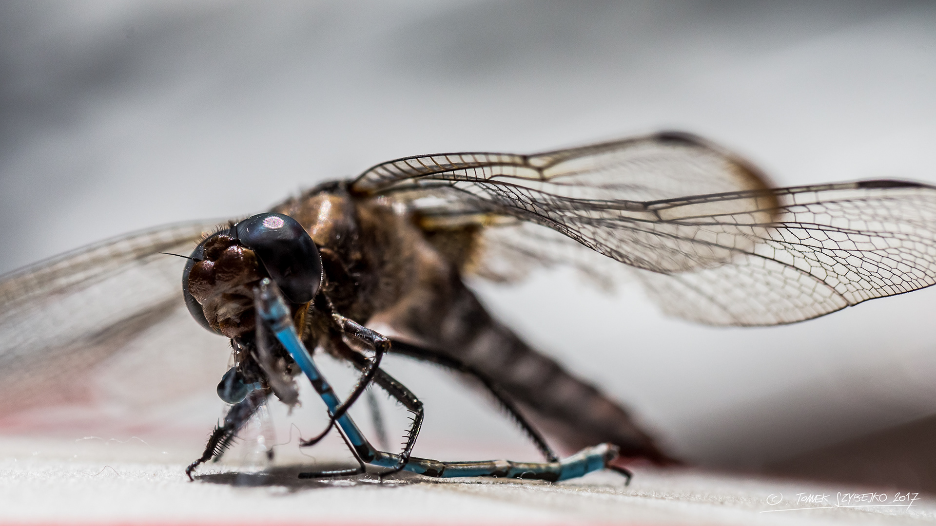 wielkość ma znaczenie