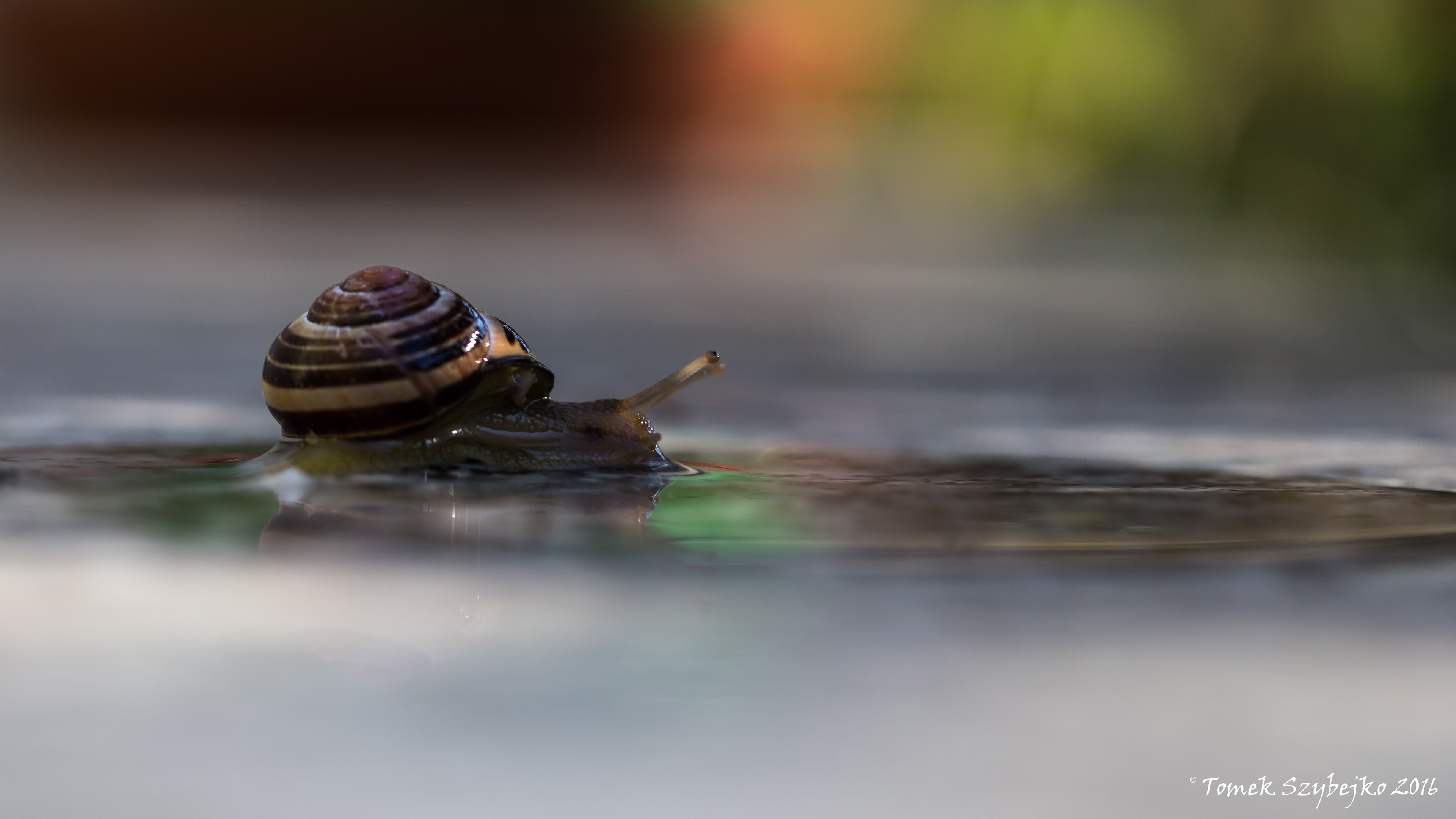 idąc w stronę tęczy