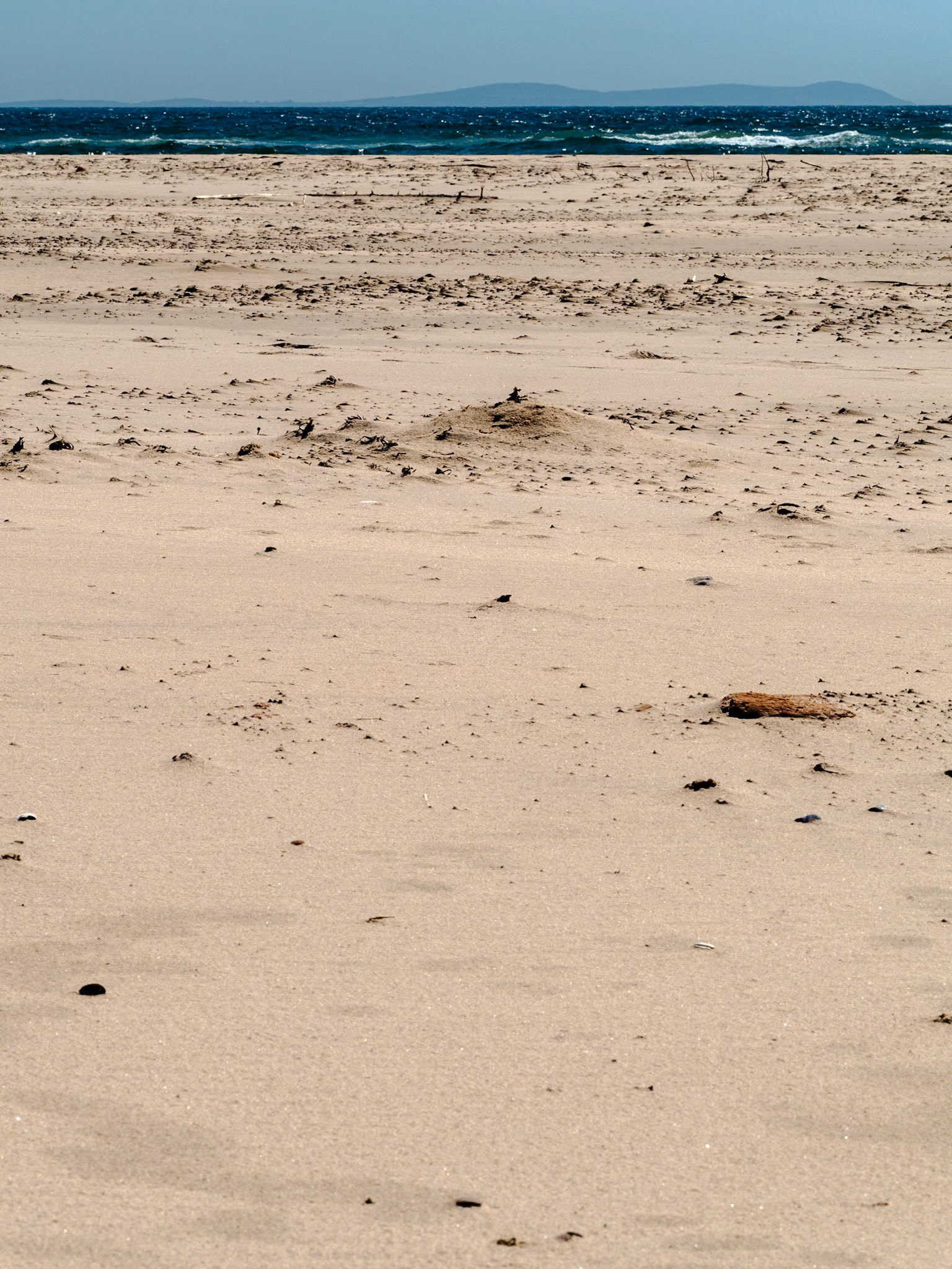 Pendant ce temps dans l'île...