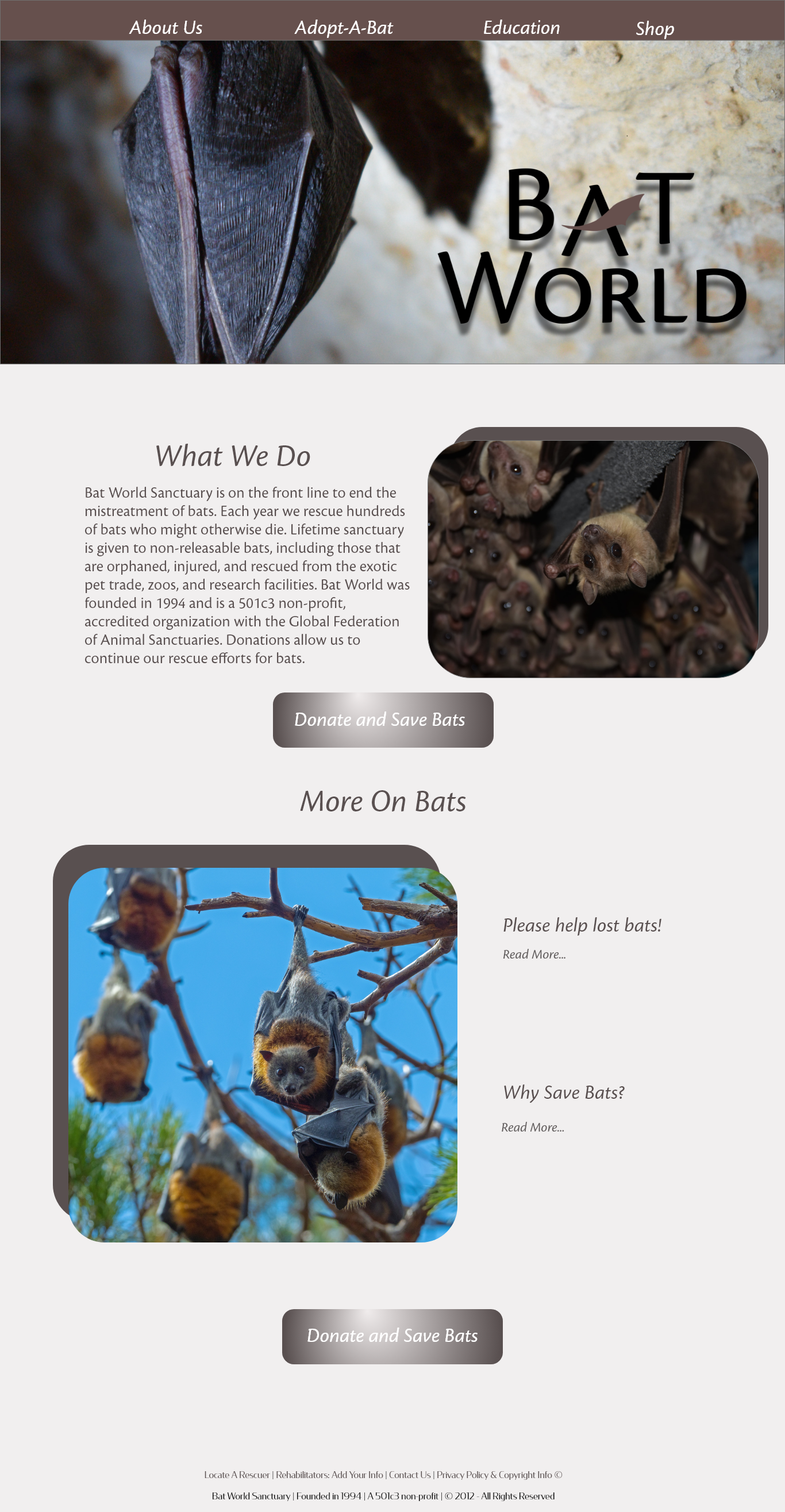 Bat World Homepage
