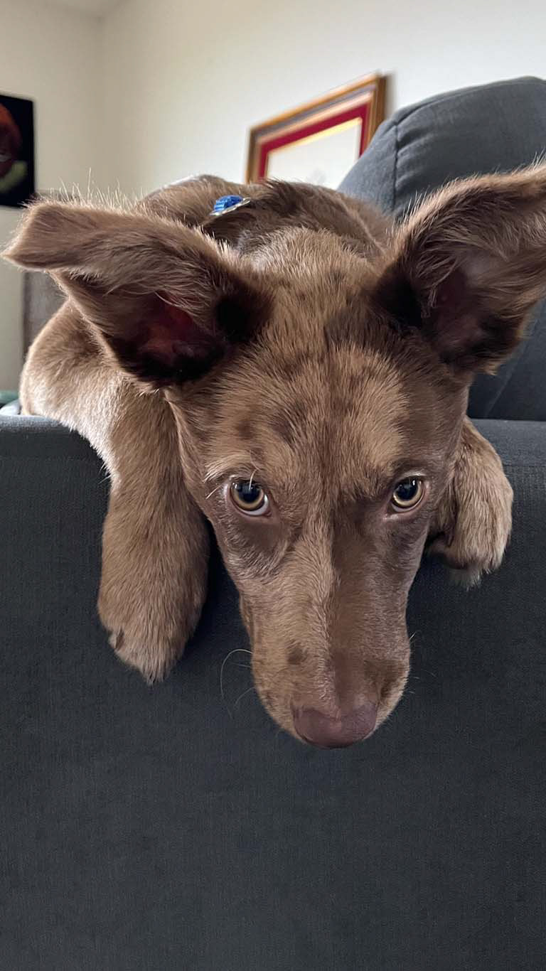 profile pic photoshoot - innocent