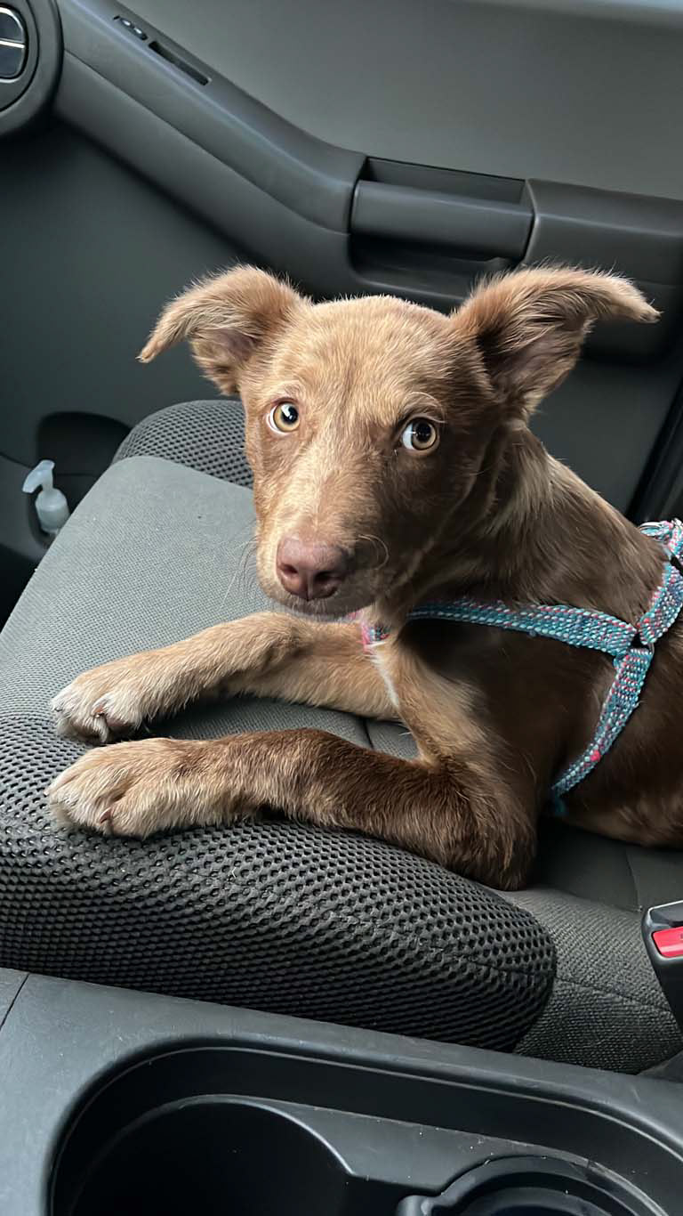 I think we should go to the park
