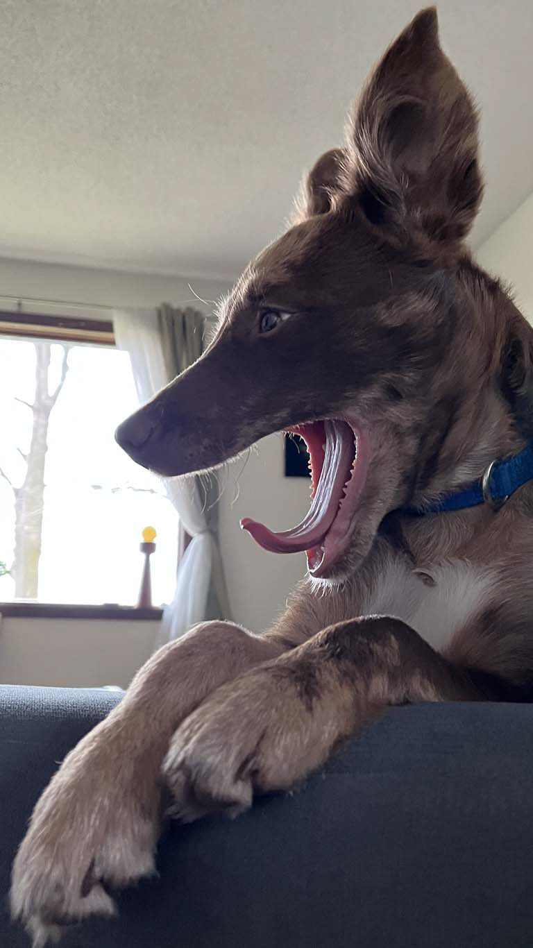 profile pic photoshoot - over it