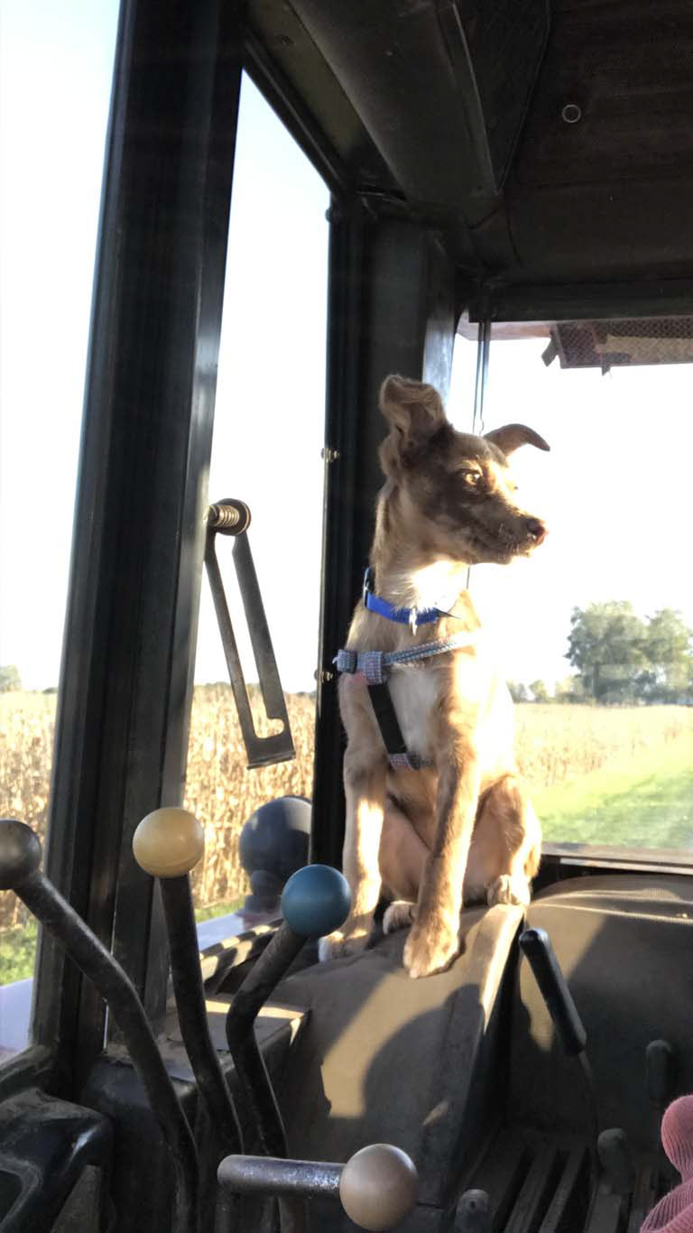 overseeing in the machine