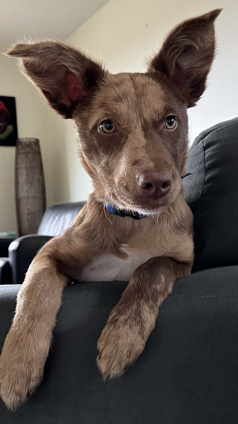 profile pic photoshoot - feigning interest in you