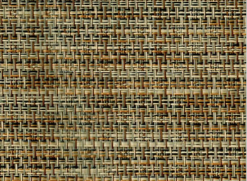 ASPS - NAPA BRINDLE ET2-3027662 