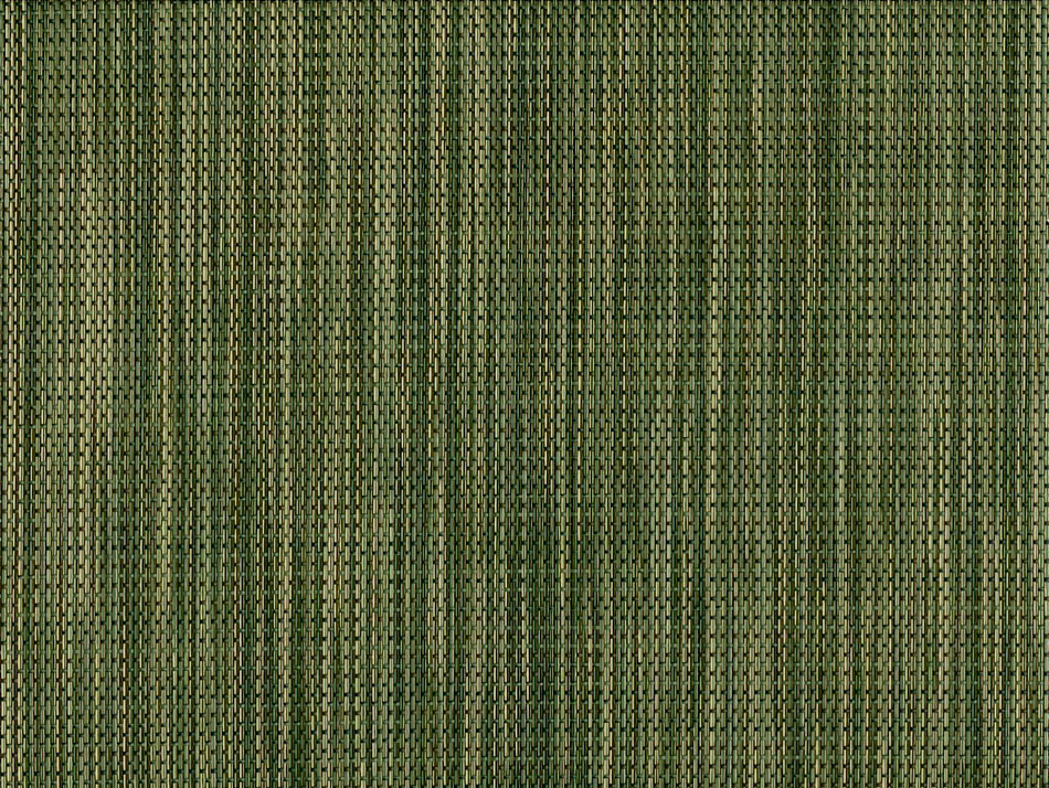 FS - 018 AUTUMN FERN