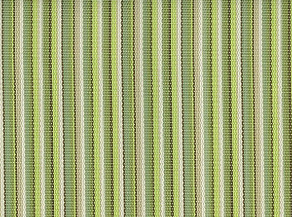 FS - 008 STRIPE KIWI