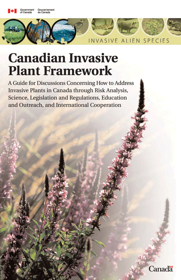 IAS Booklet Cover.qxd