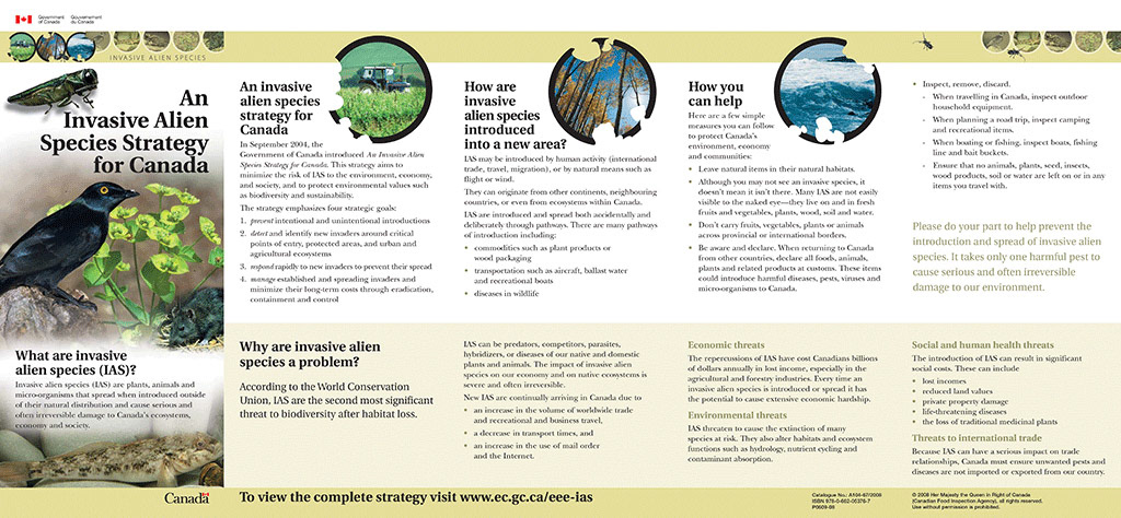 IAS Strategy Brochure_E.qxd