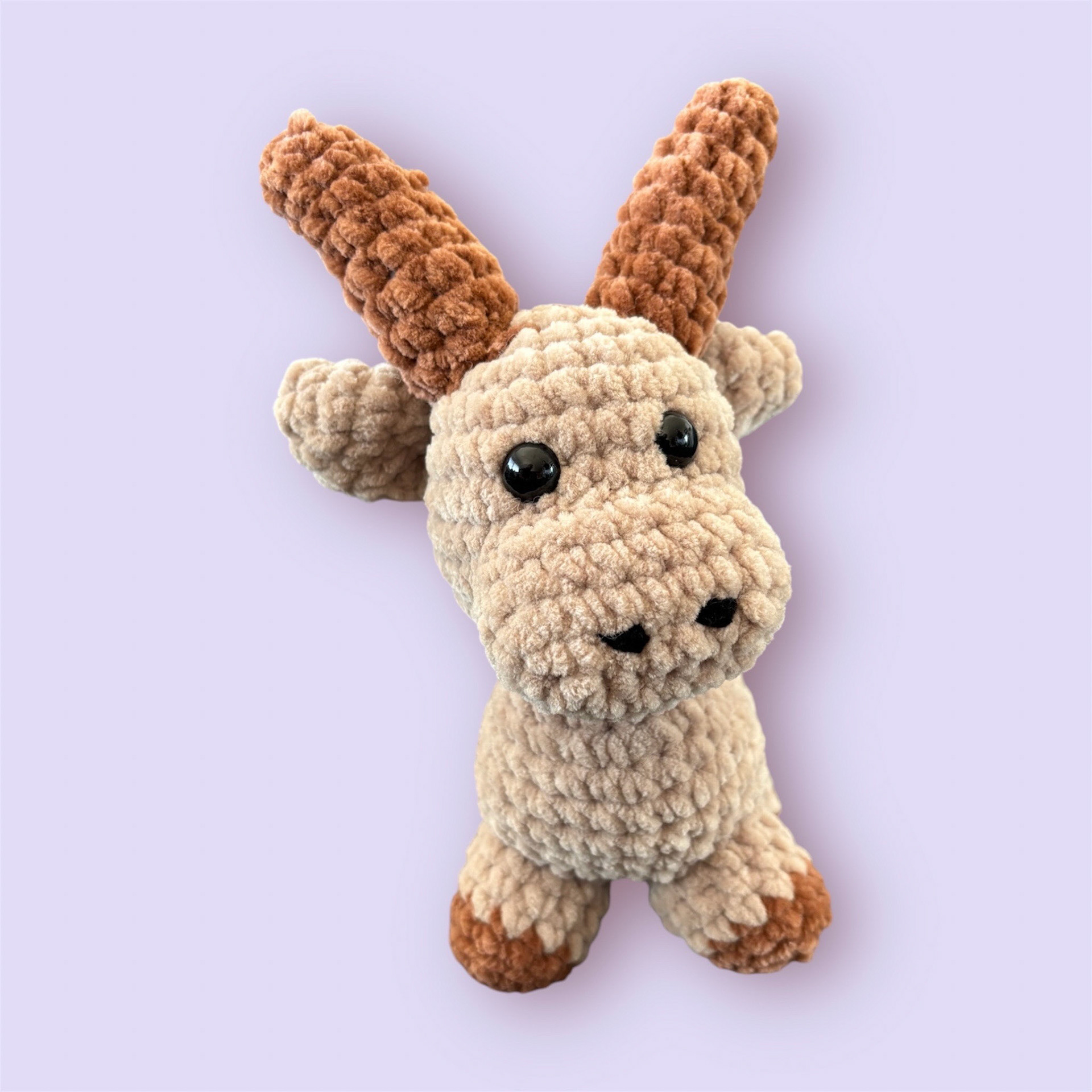 Mouflon, CHF 25