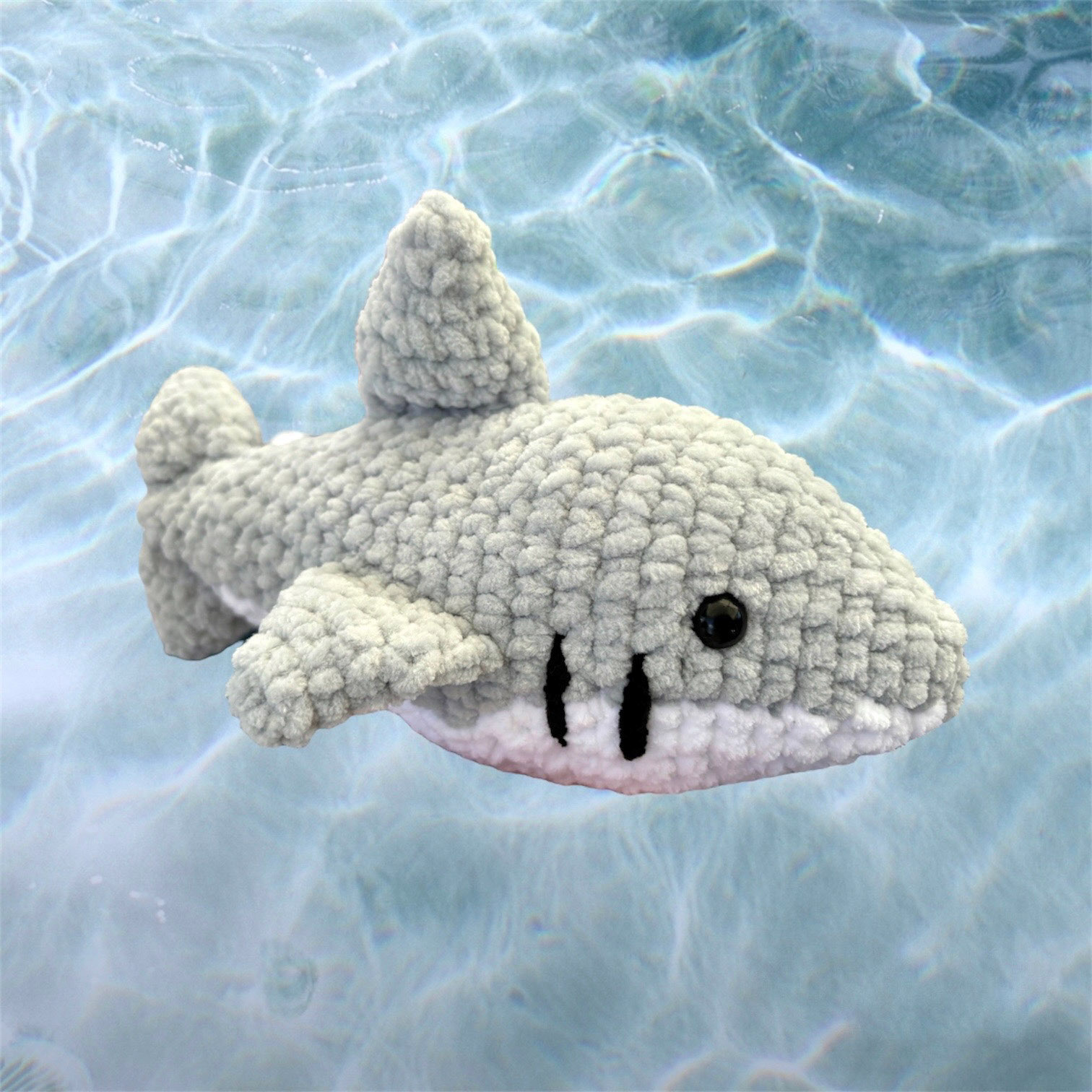 Requin, CHF 15
