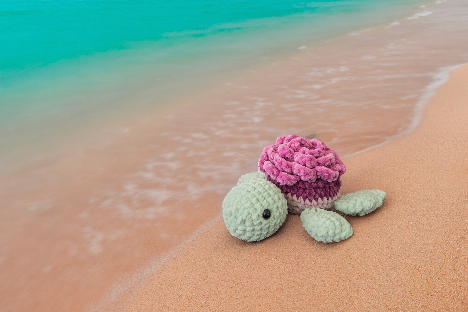 Tortue fleur, CHF 17