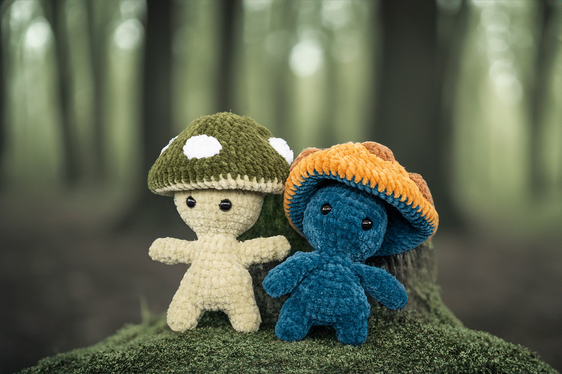 Champignon, 20cm, CHF 25 chacun