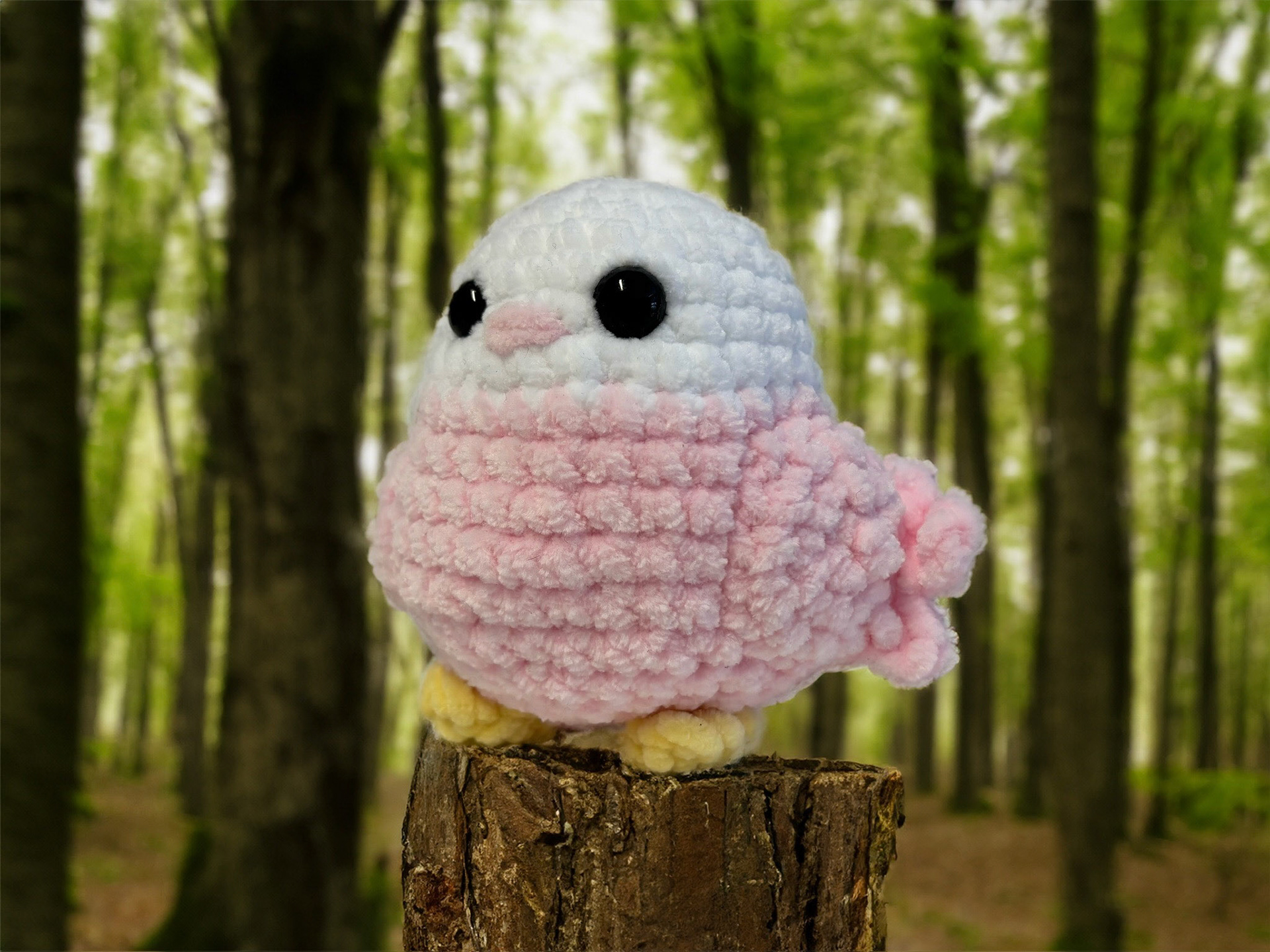 Oiseau, CHF 12