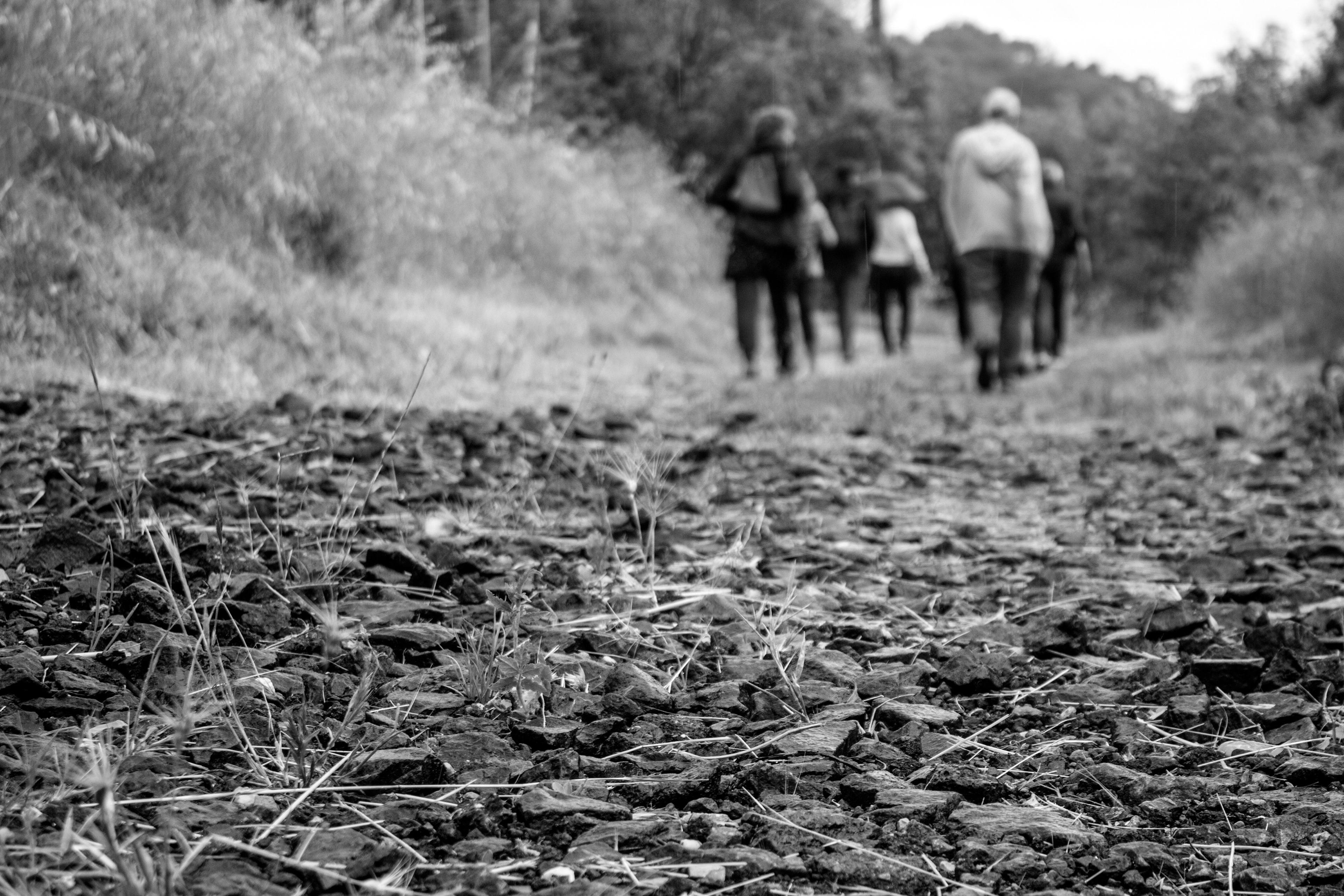 Participants de l'exploration sensible