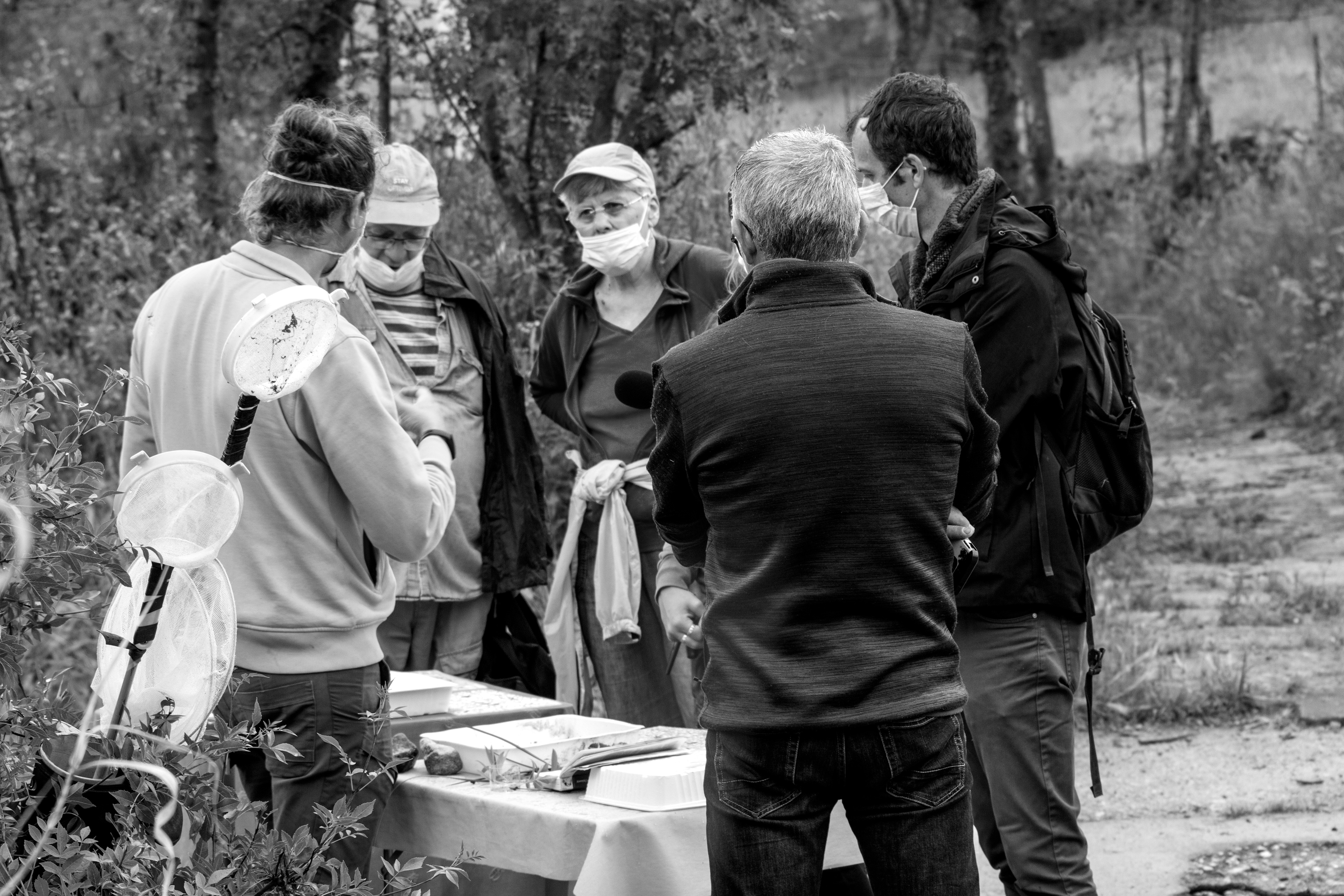 Intervention sur la faune et la flore de la Boyne