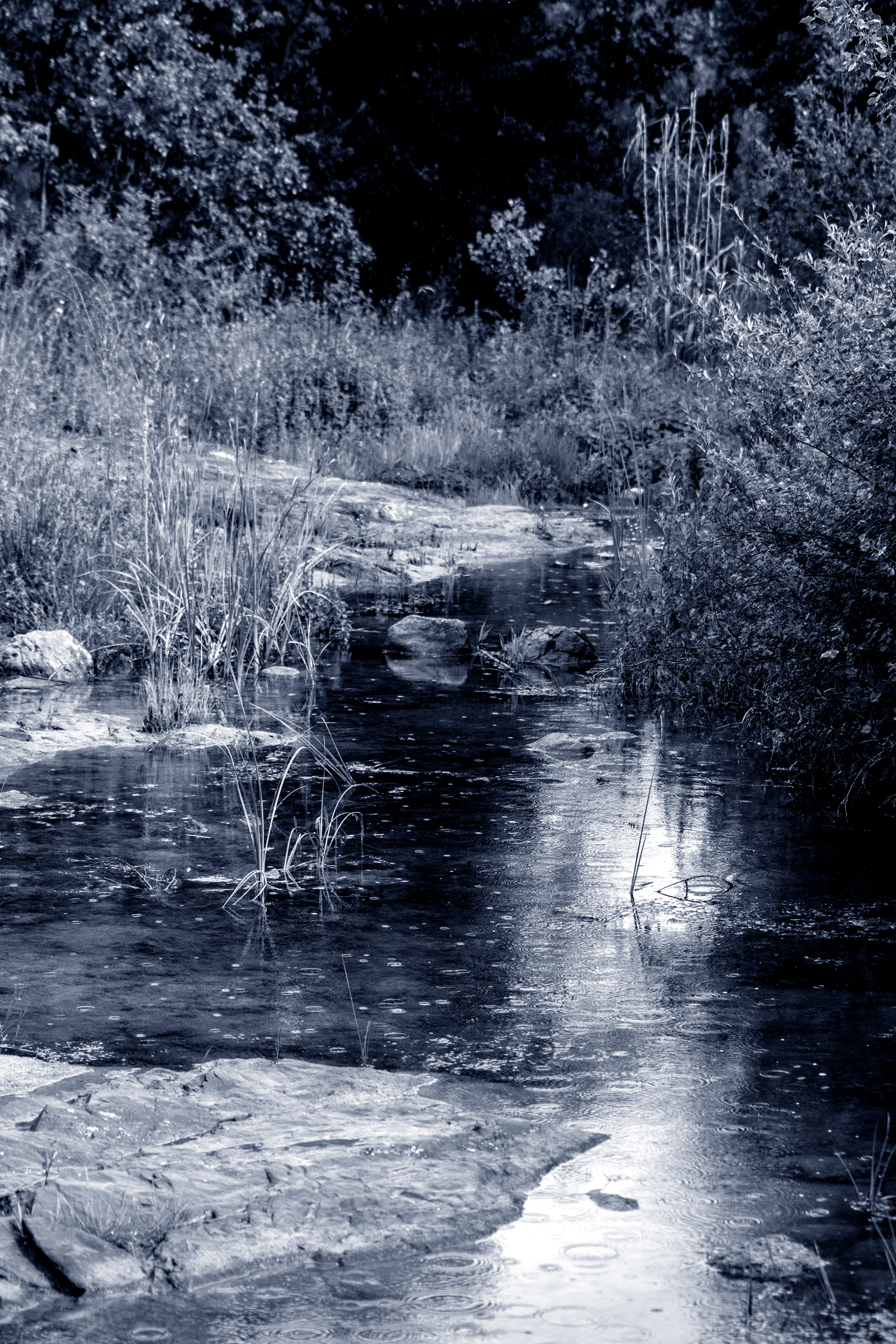 La Boyne sous la pluie