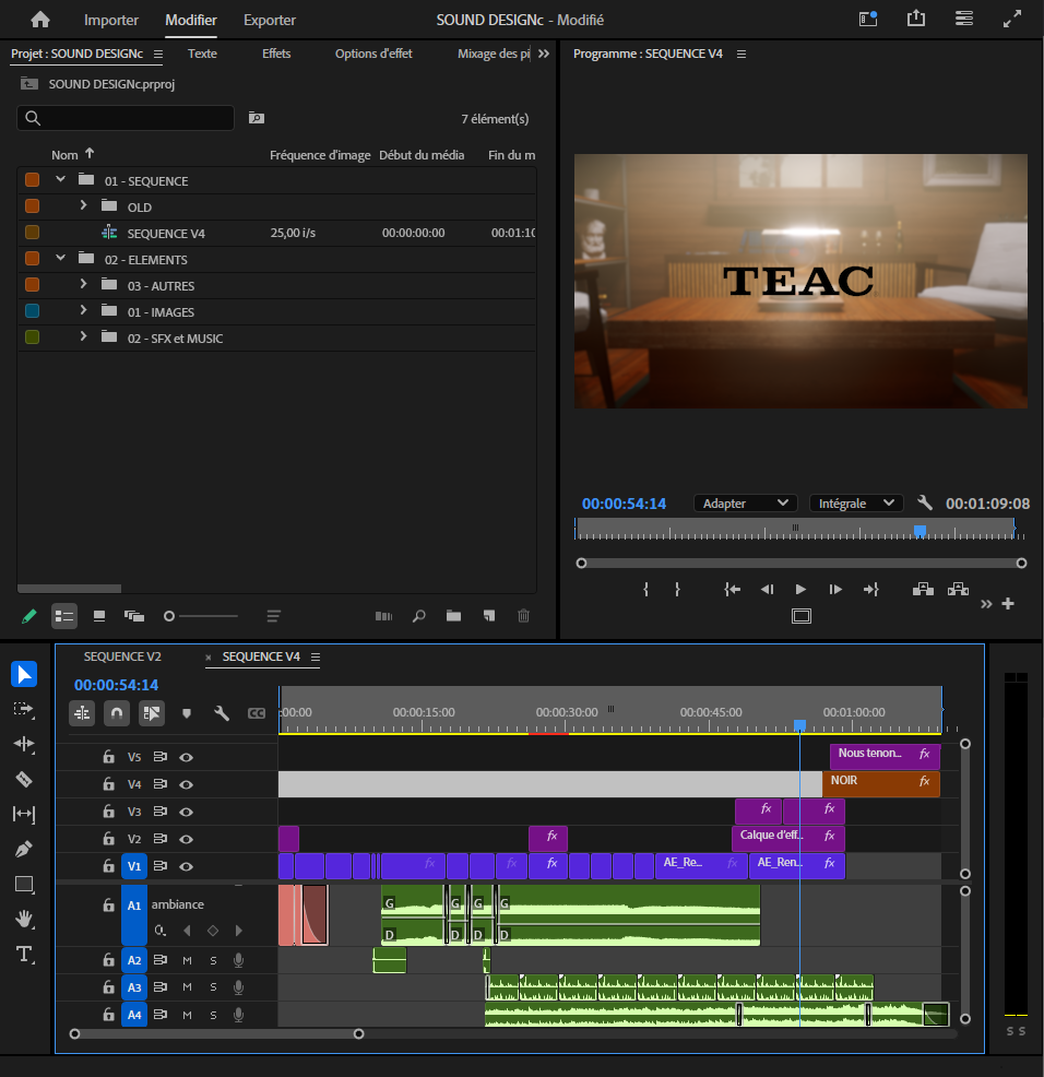 PREMIERE PRO - MONTAGE ET SOUND DESIGN