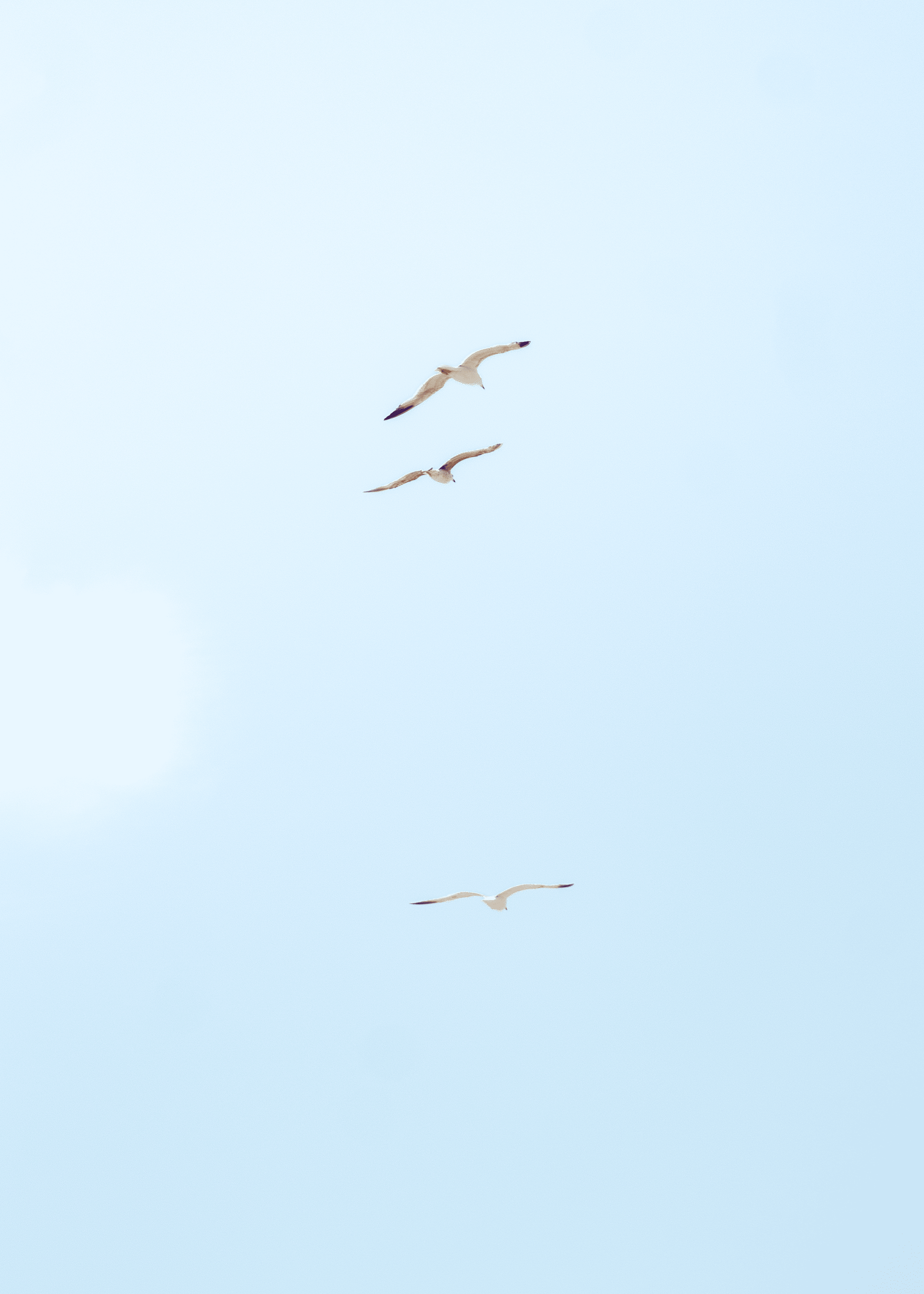 REMEMBER - UP - 07/06/2025